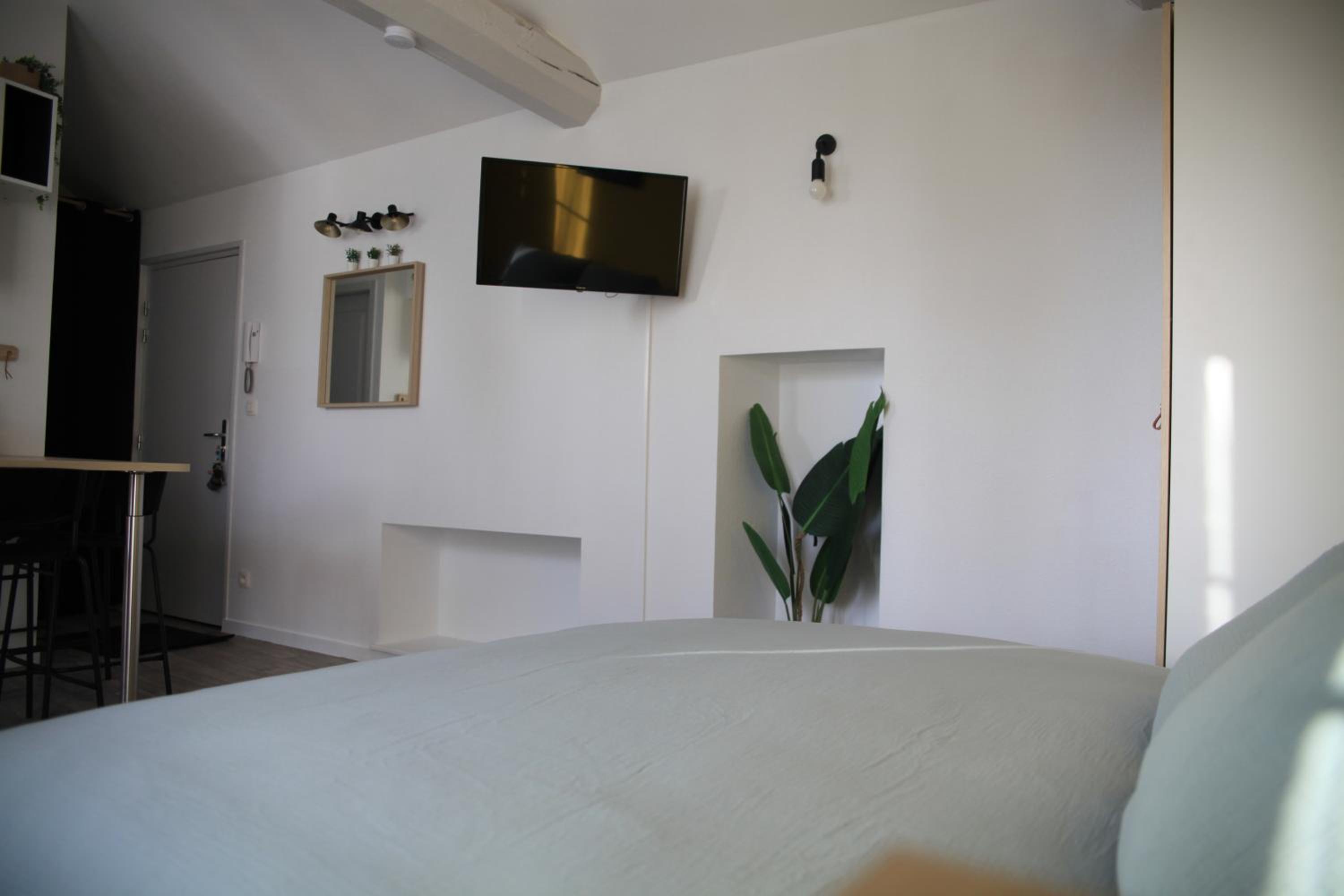 Chez Mary Studio -Jungle