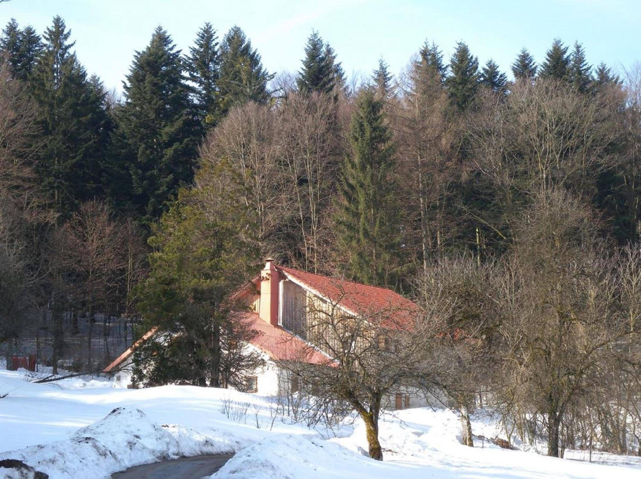 Grillnhäusl - Ruheoase in Alleinlage mit Sauna, Erlebnisstadl & Rehen vor der Haustür view 2