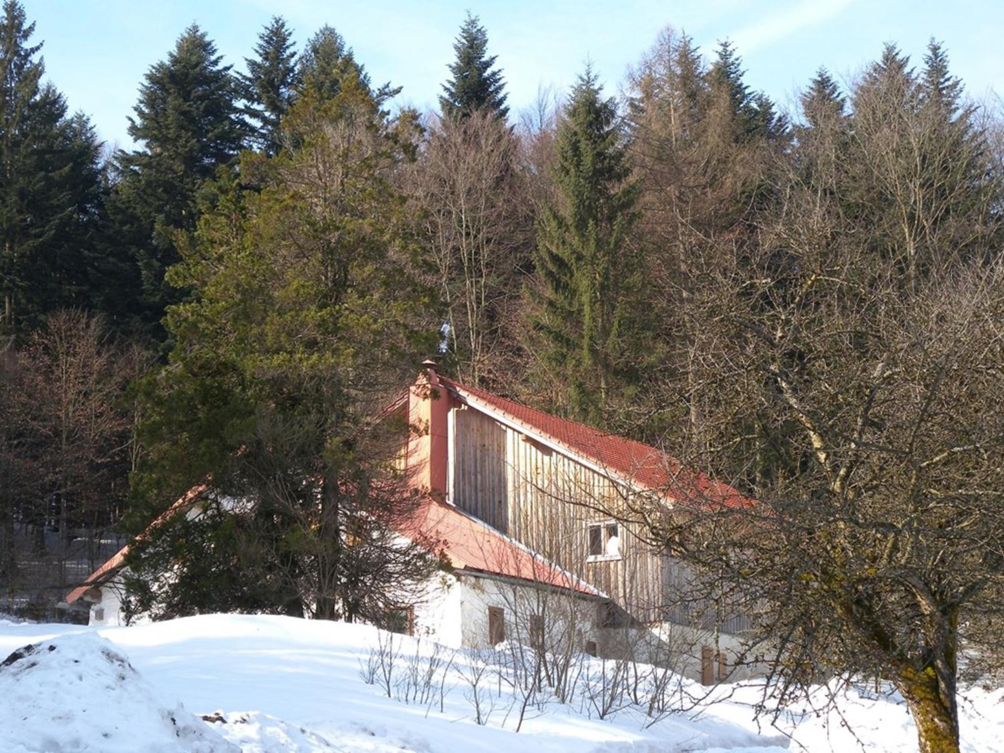 Grillnhäusl - Ruheoase in Alleinlage mit Sauna, Erlebnisstadl & Rehen vor der Haustür view 3