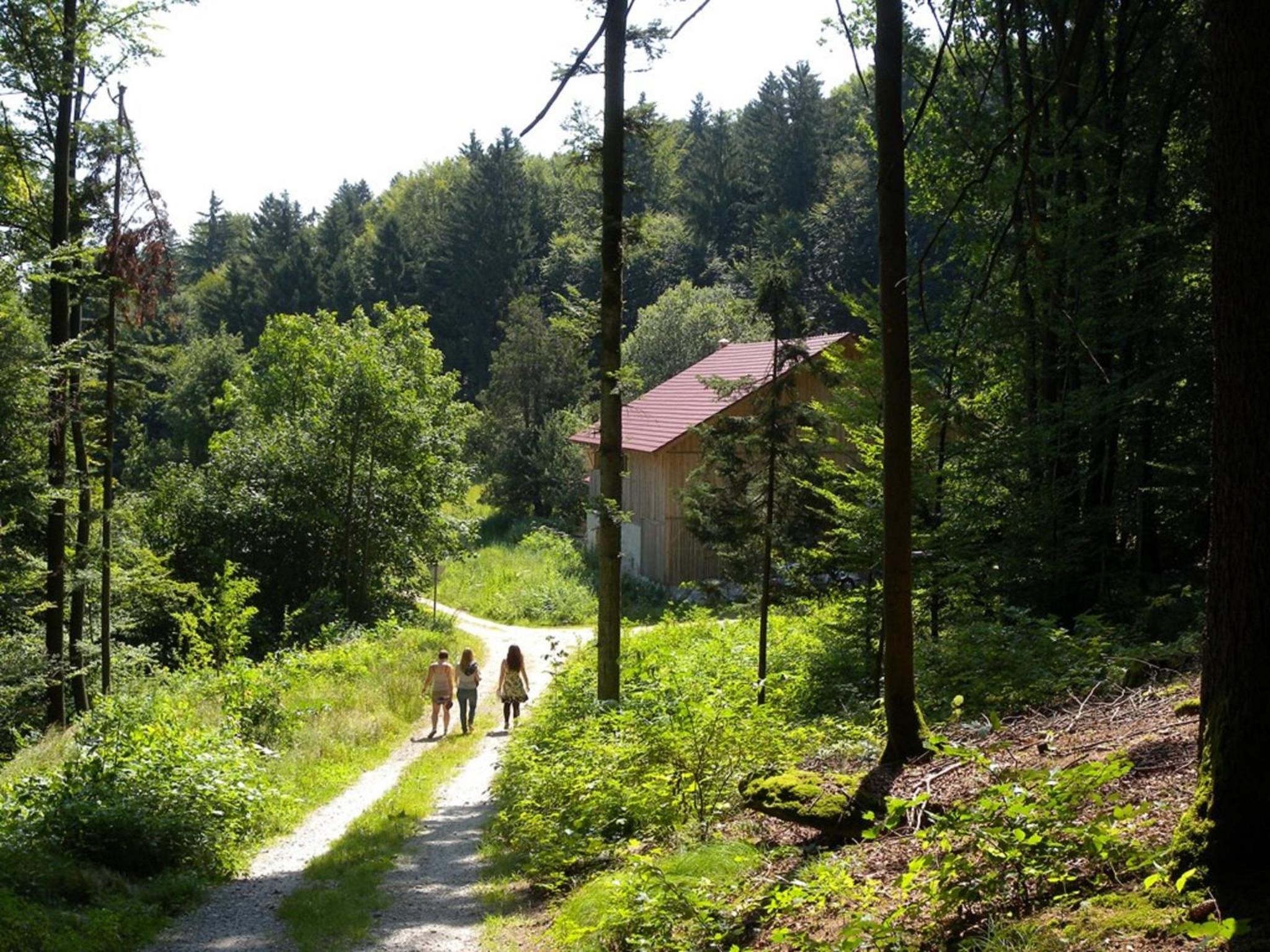 Photo 12