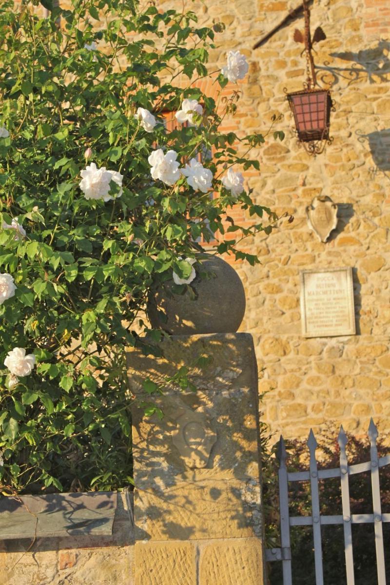 Relais Mastro Cinghiale