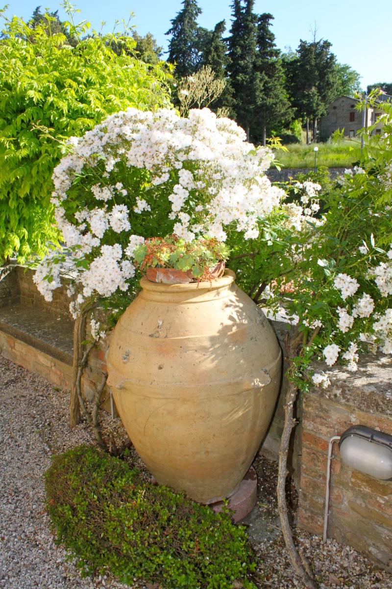 Relais Mastro Cinghiale