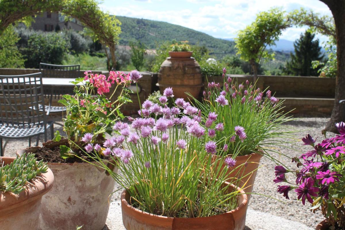 Relais Mastro Cinghiale