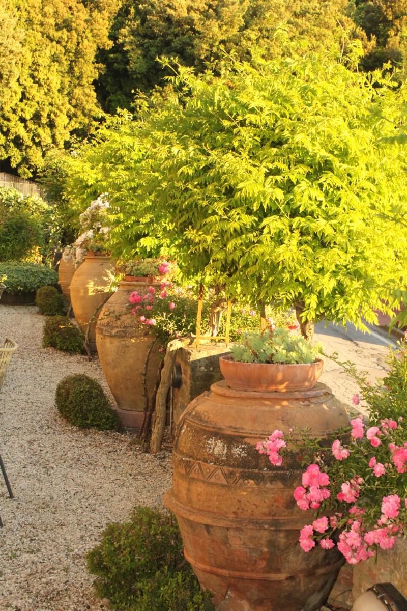 Relais Mastro Cinghiale