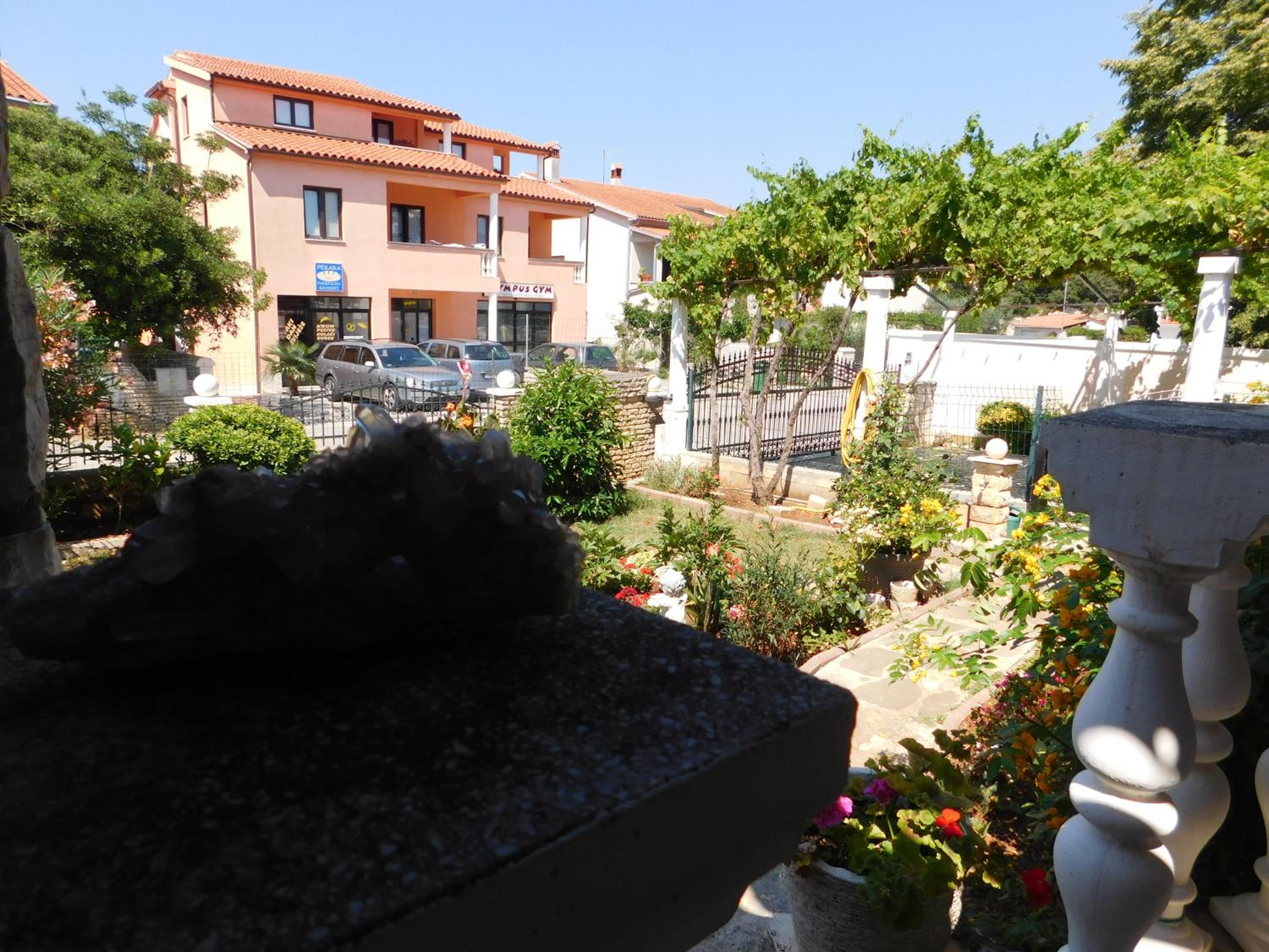 Photo 11