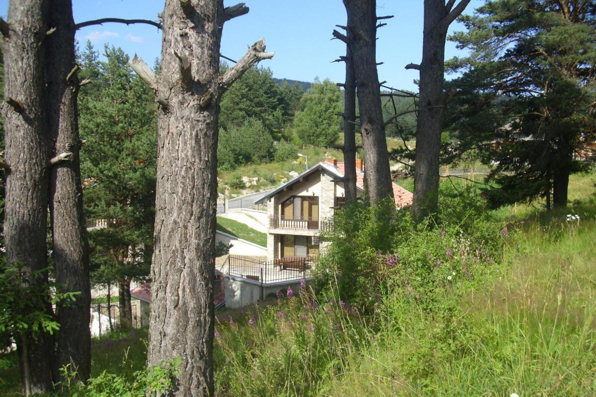 Vacation House 