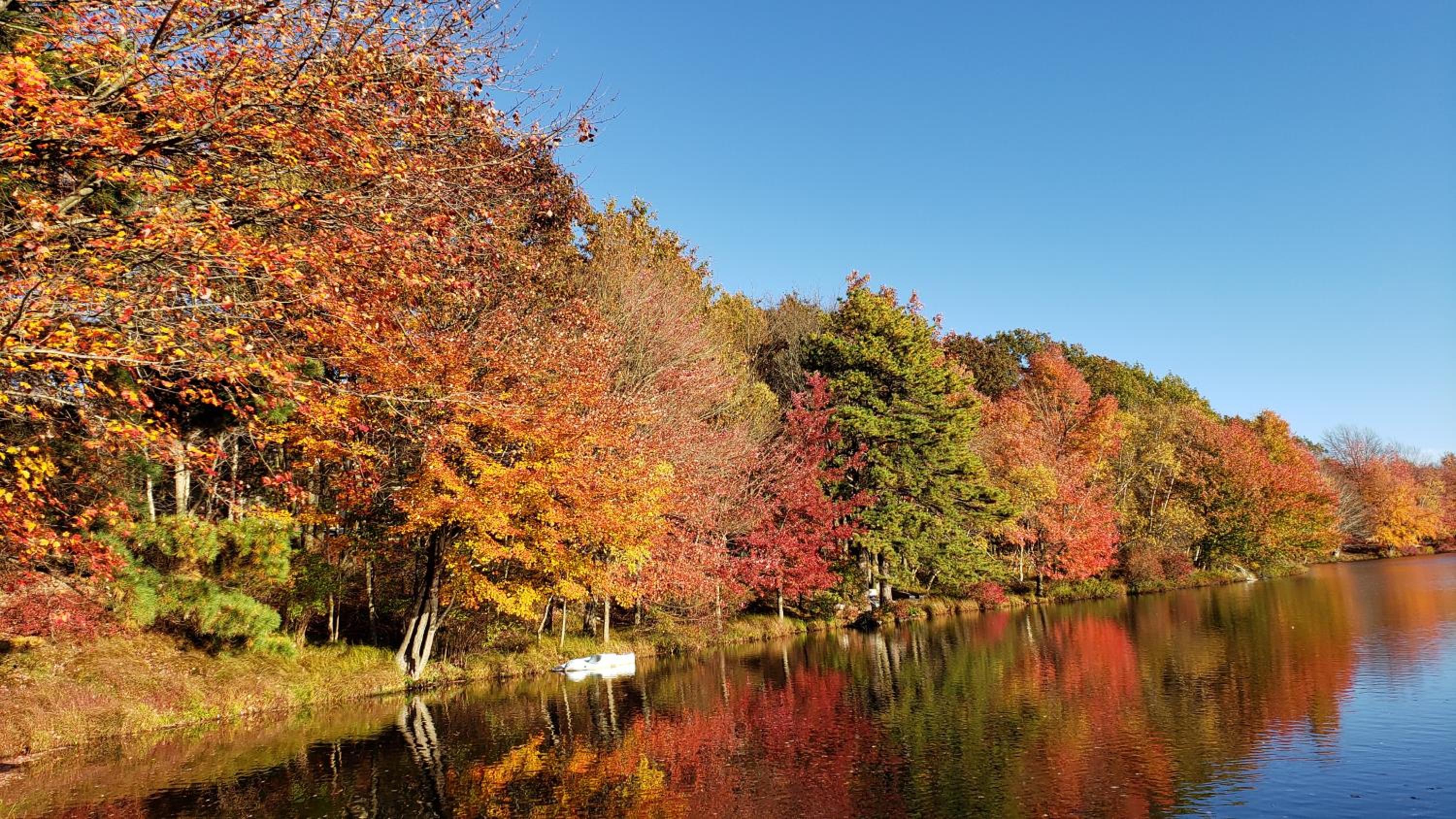 Stunning! Pocono Escape! HotTub Sauna Pool Ski Pet-Friendly Firepit Game Room Fireplace BBQ Lakes Tennis Fishing