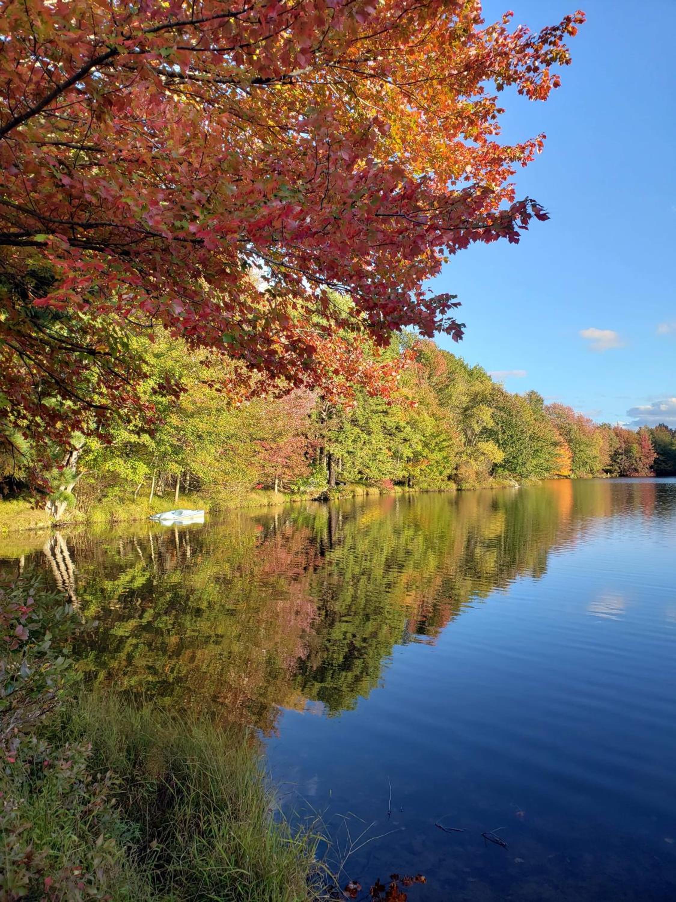 Stunning! Pocono Escape! HotTub Sauna Pool Ski Pet-Friendly Firepit Game Room Fireplace BBQ Lakes Tennis Fishing