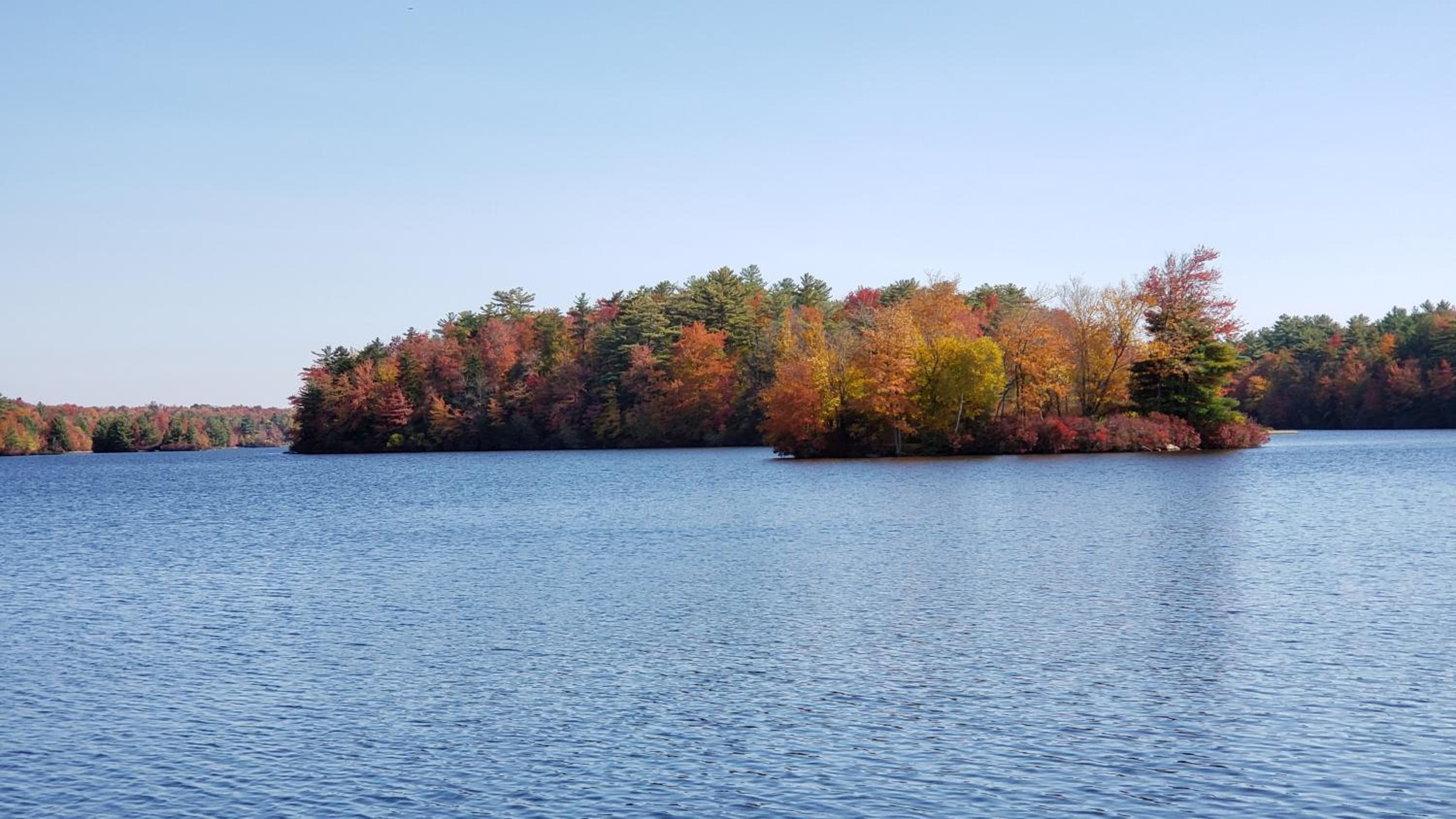 Stunning! Pocono Escape! HotTub Sauna Pool Ski Pet-Friendly Firepit Game Room Fireplace BBQ Lakes Tennis Fishing