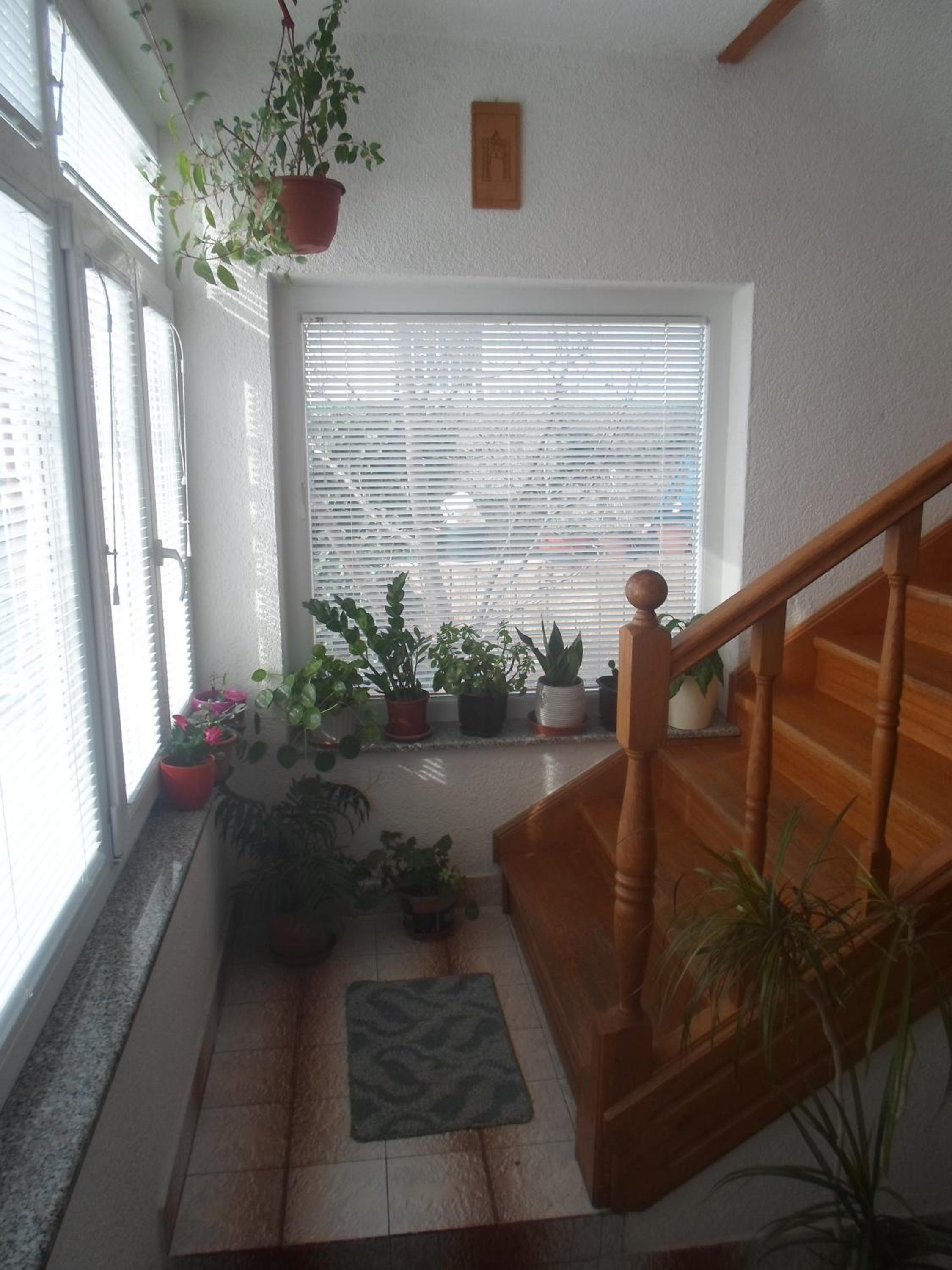 Photo 35