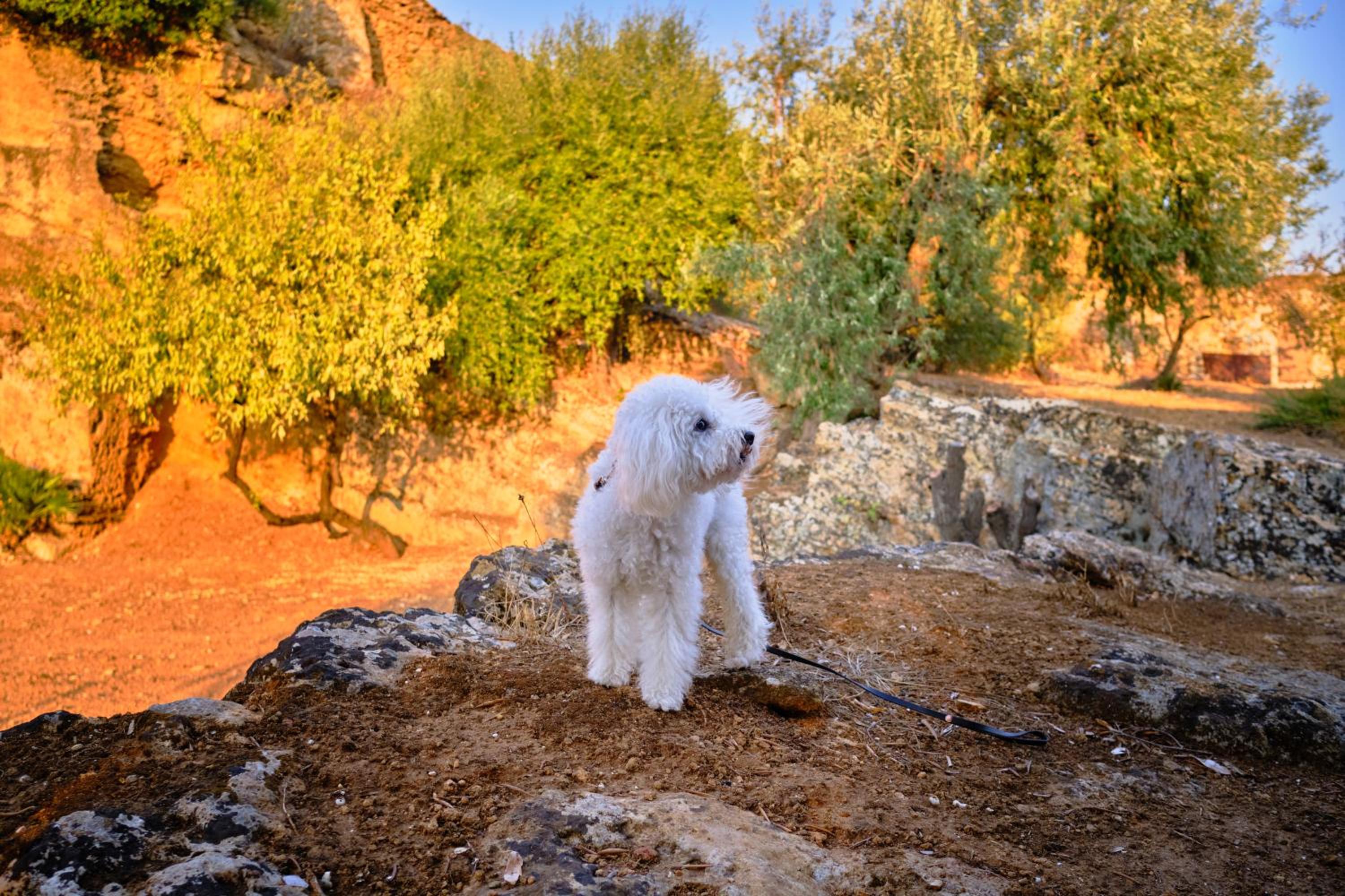 Villa Cavetta