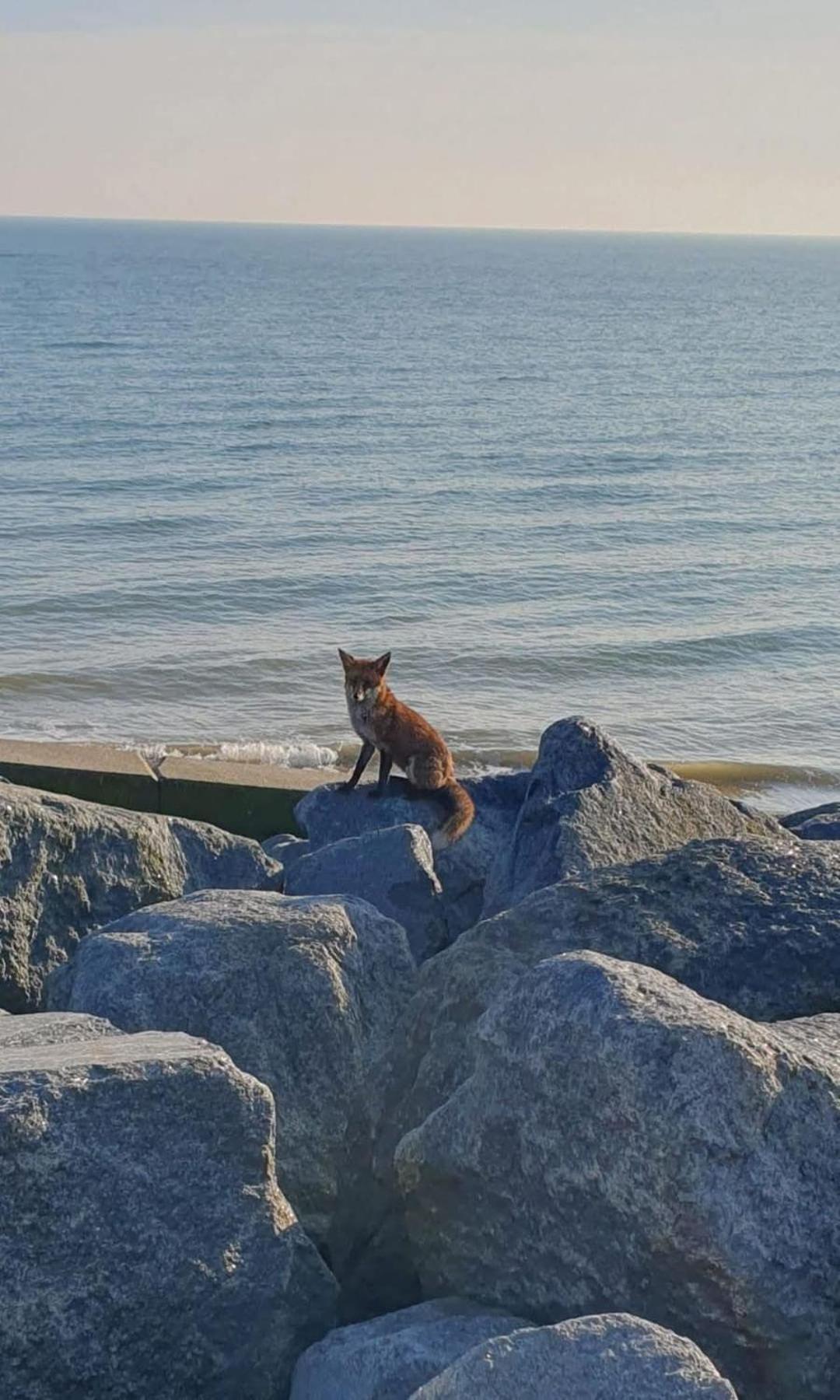 Rūm by the beach
