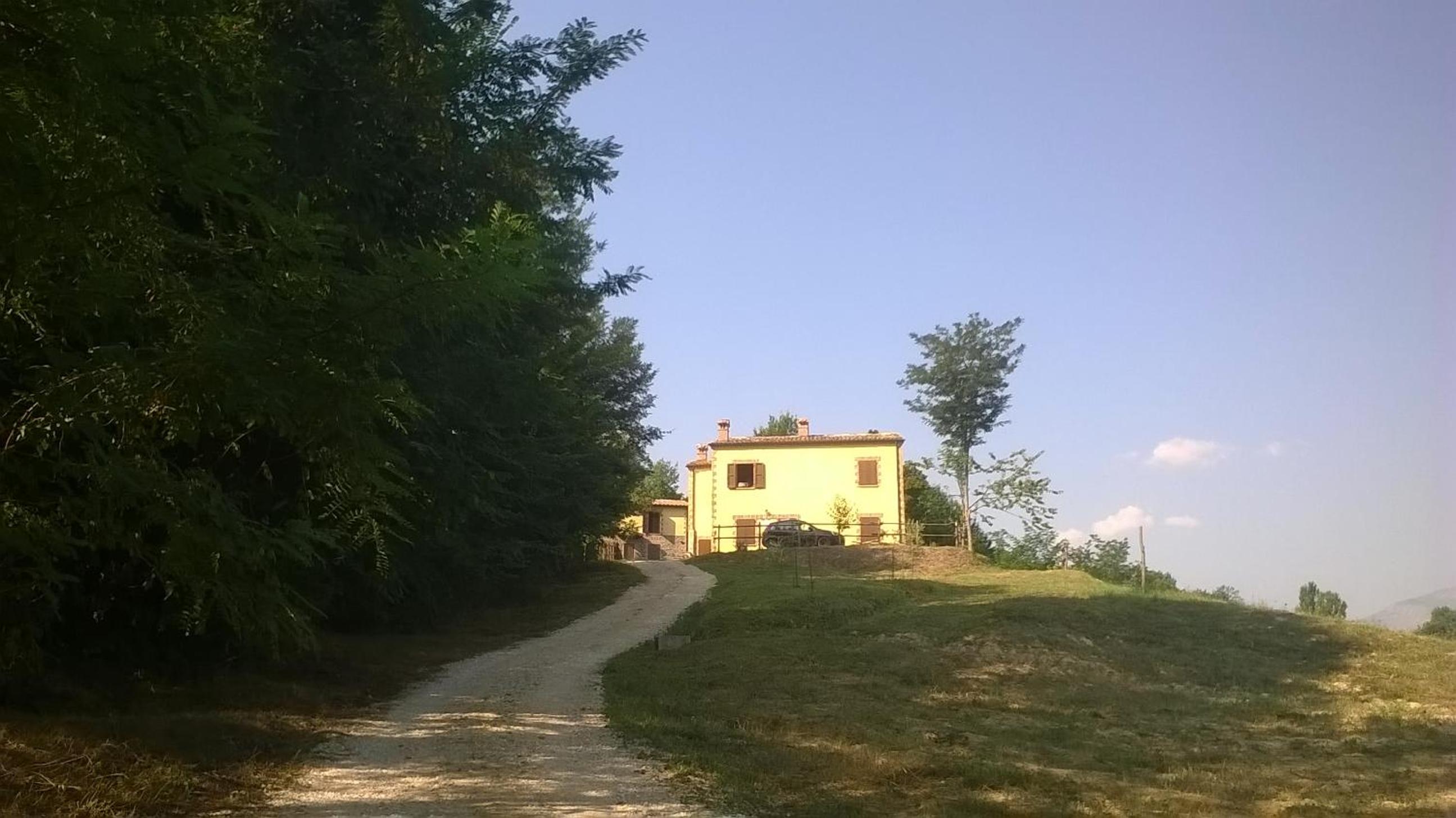 Photo 16