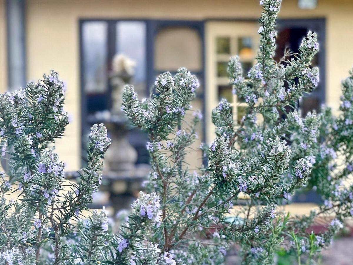 5-Bed Secret Garden House