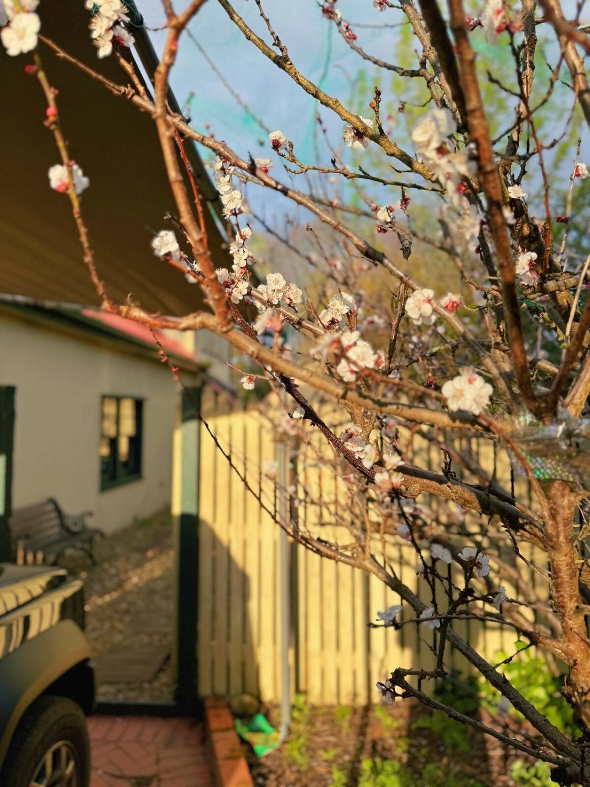 5-Bed Secret Garden House