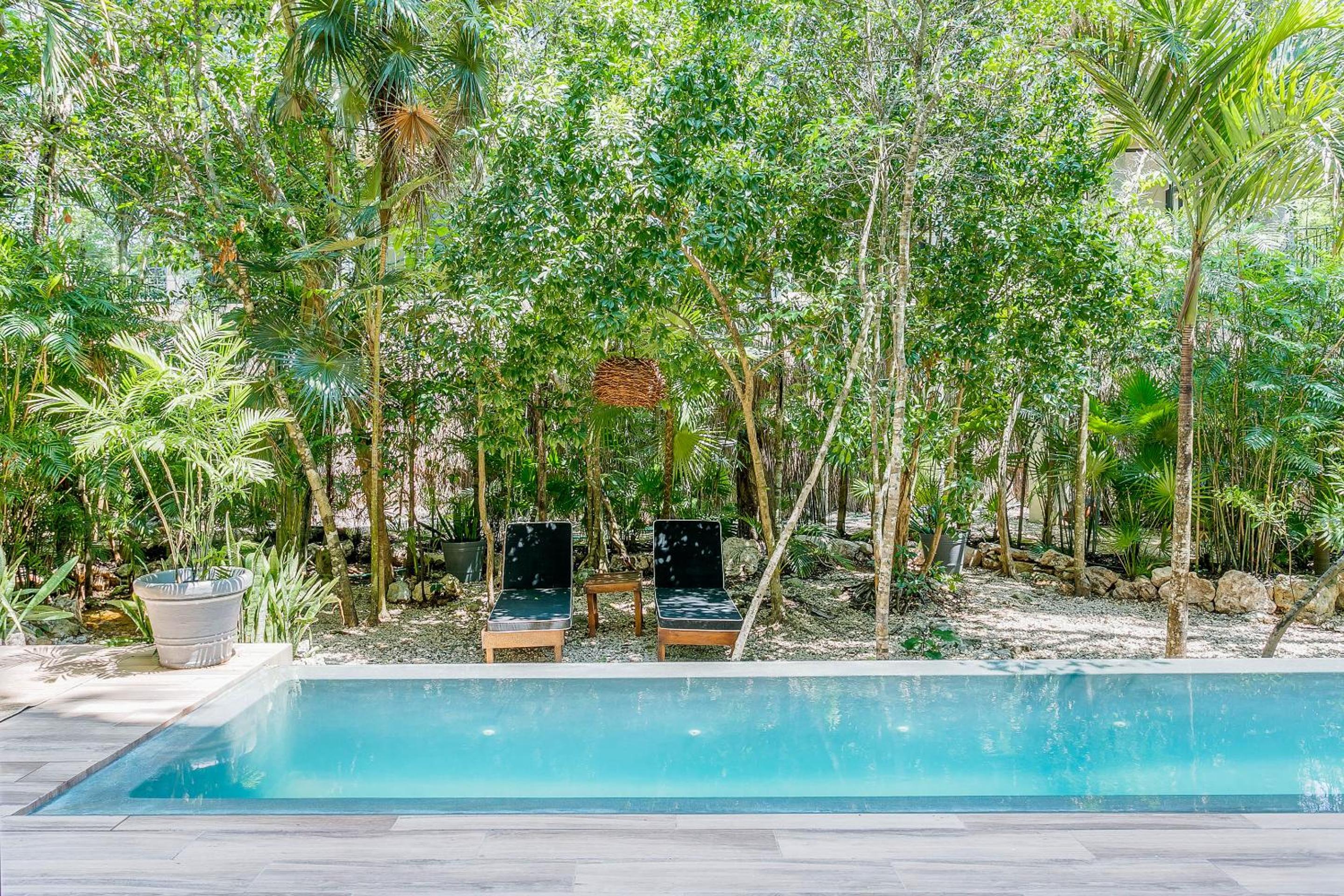 Luxurious Oasis Jacuzzi with Art Gallery and Pool