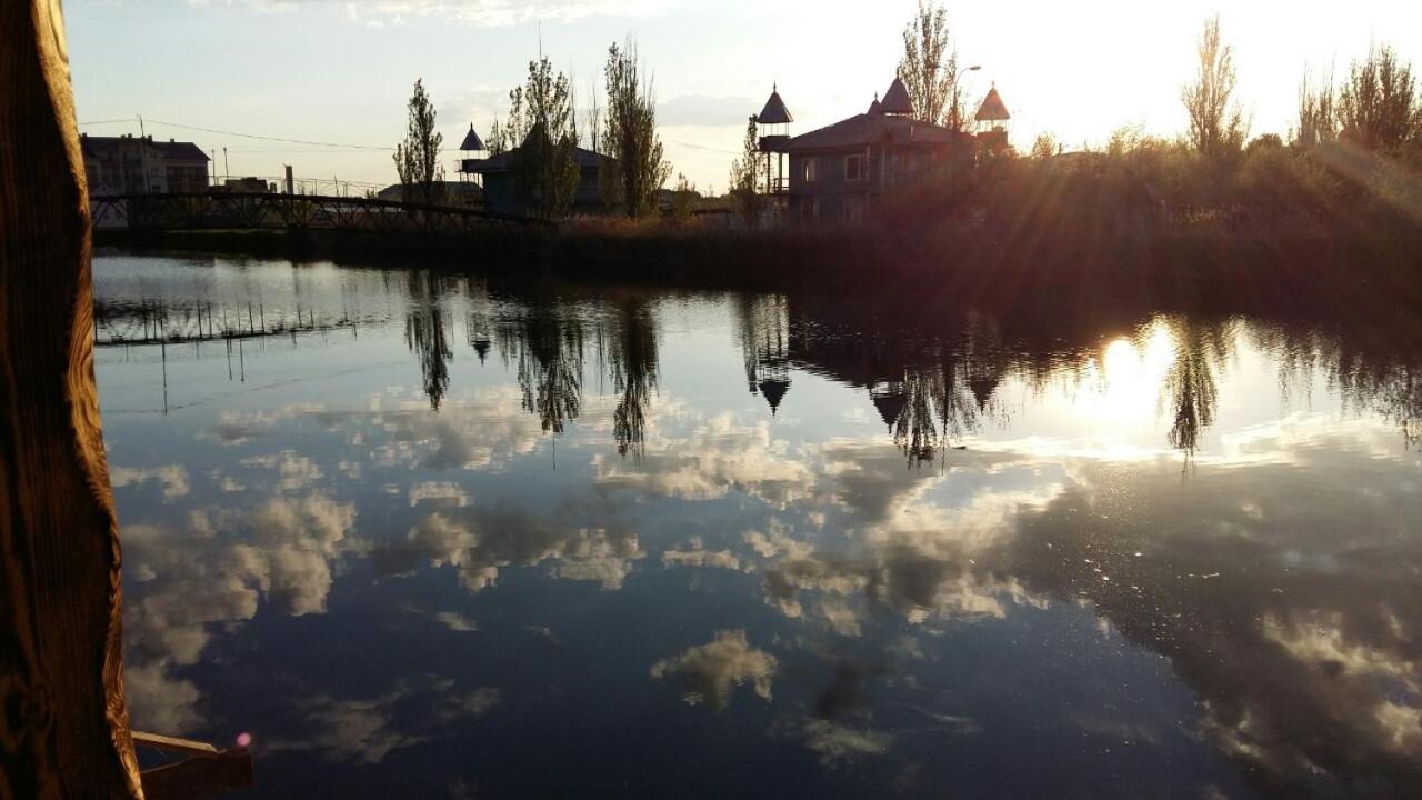 Photo 29