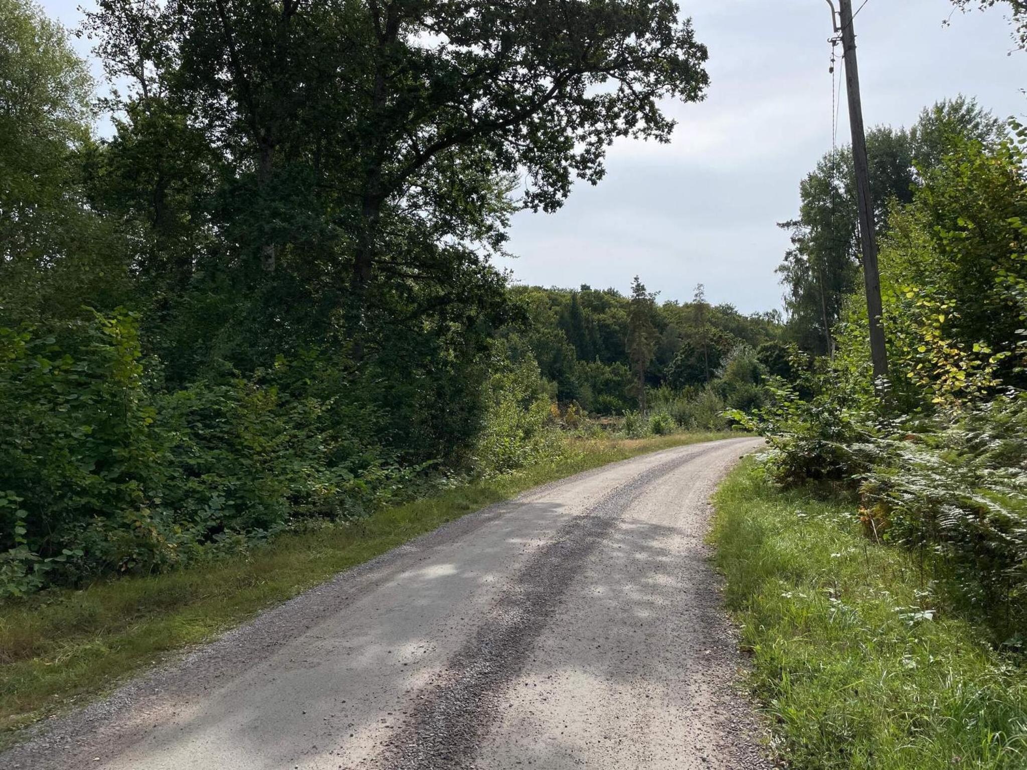 5 person holiday home in Immeln