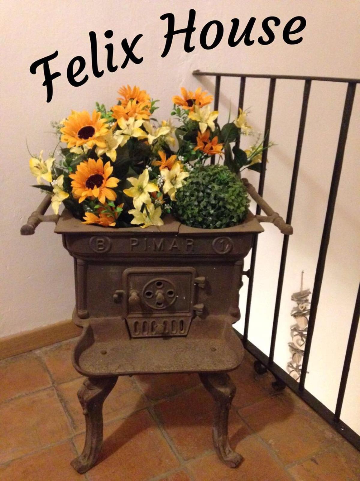 Felix House - Property Image 32