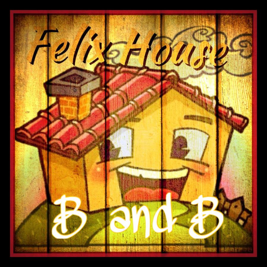 Felix House - Property Image 33