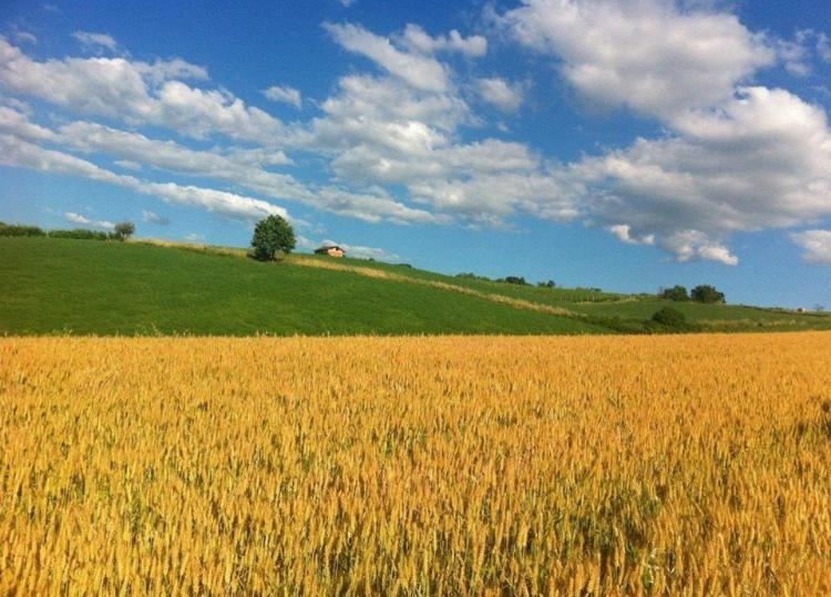 Felix House - Property Image 39