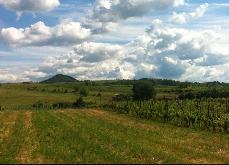 Felix House - Property Image 40