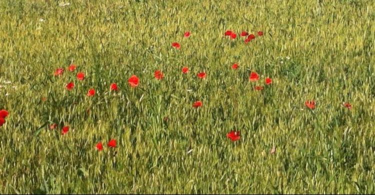 Felix House - Property Image 41