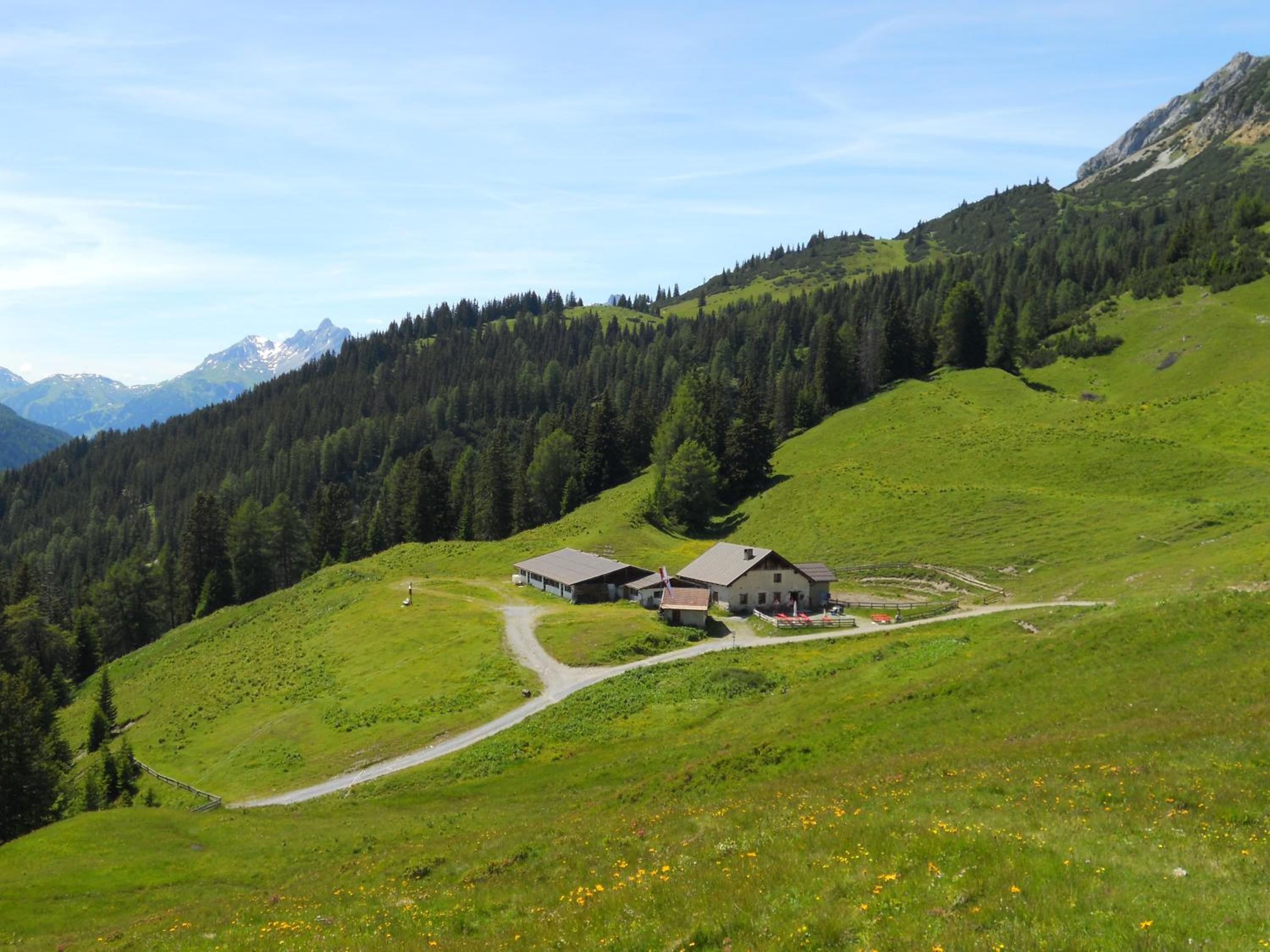 Photo 40
