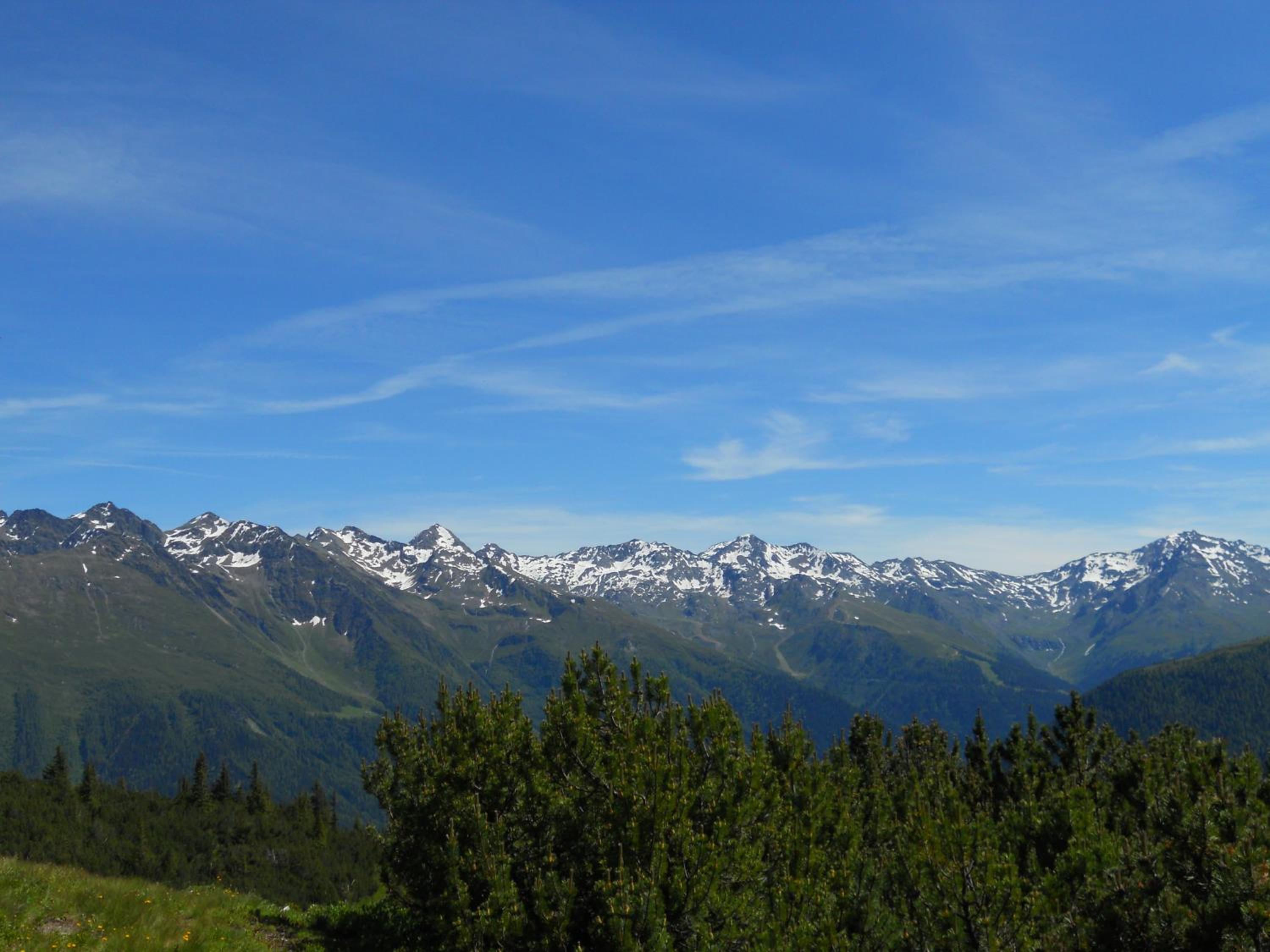 Photo 43