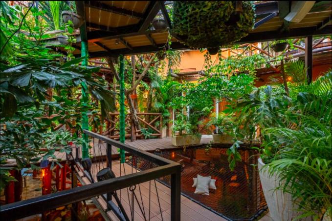 Casa Kabil Wellness Home