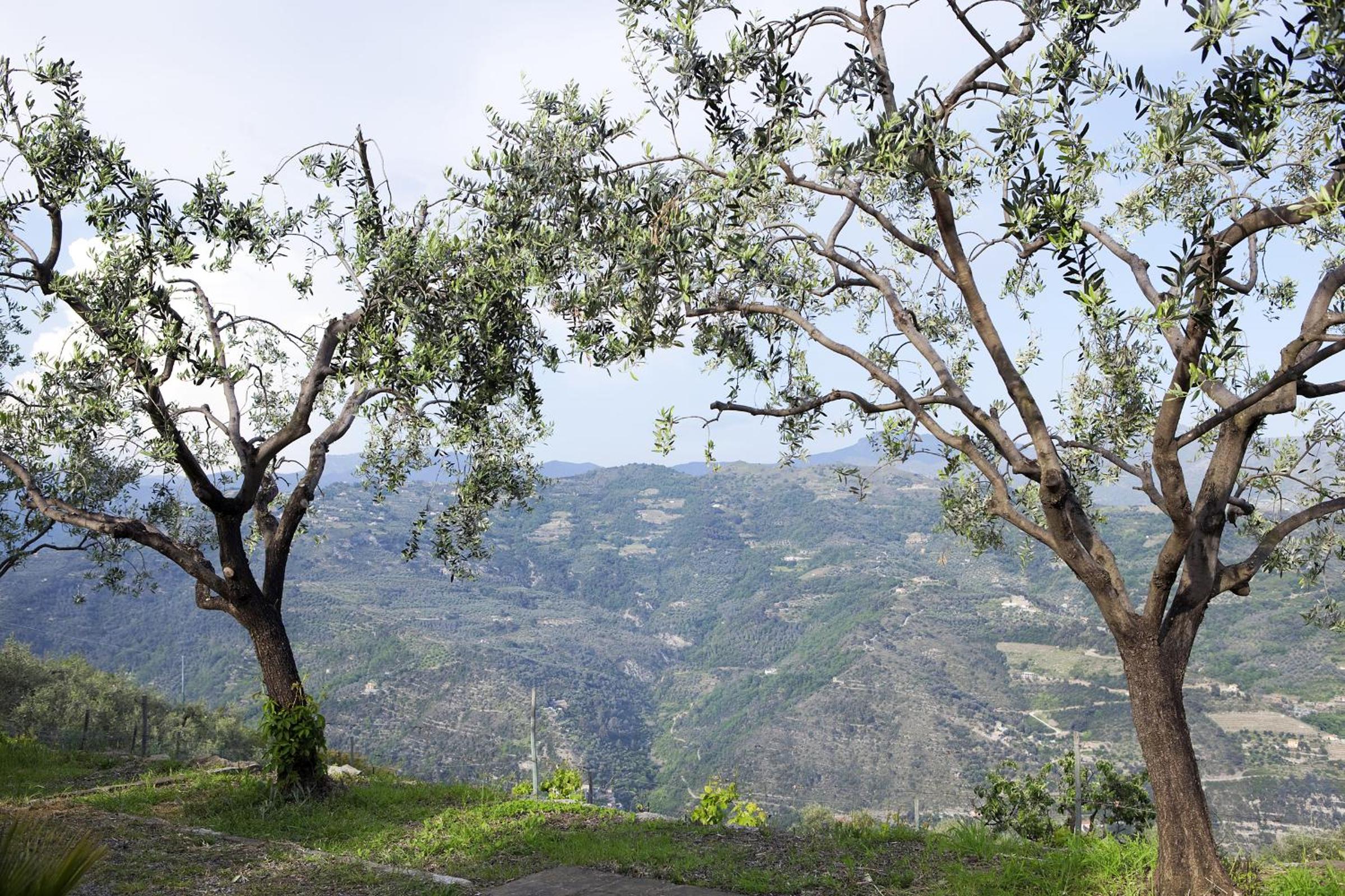 Terre Bianche Appartamenti view 5