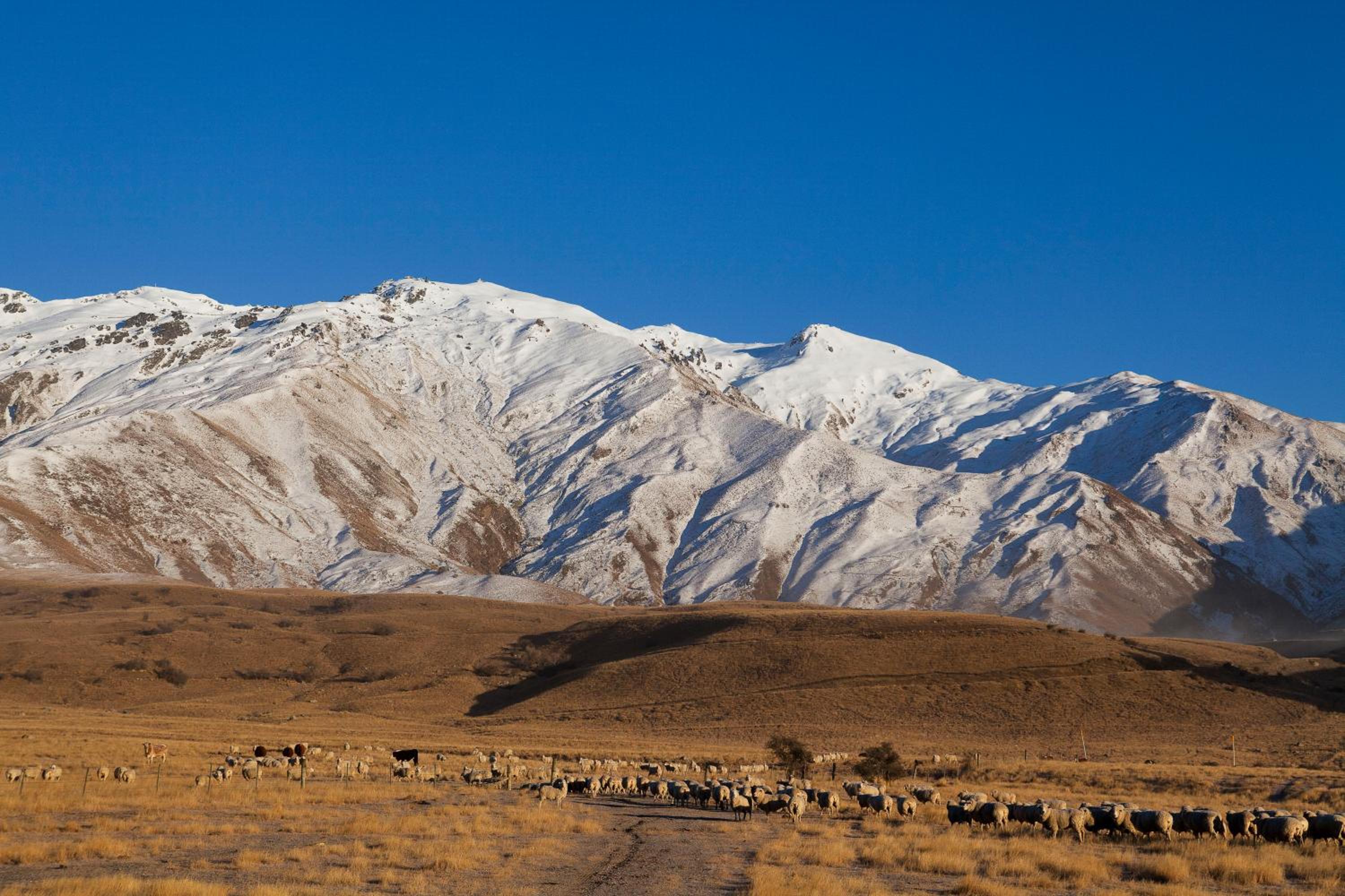 Mt Cardrona Station Resort