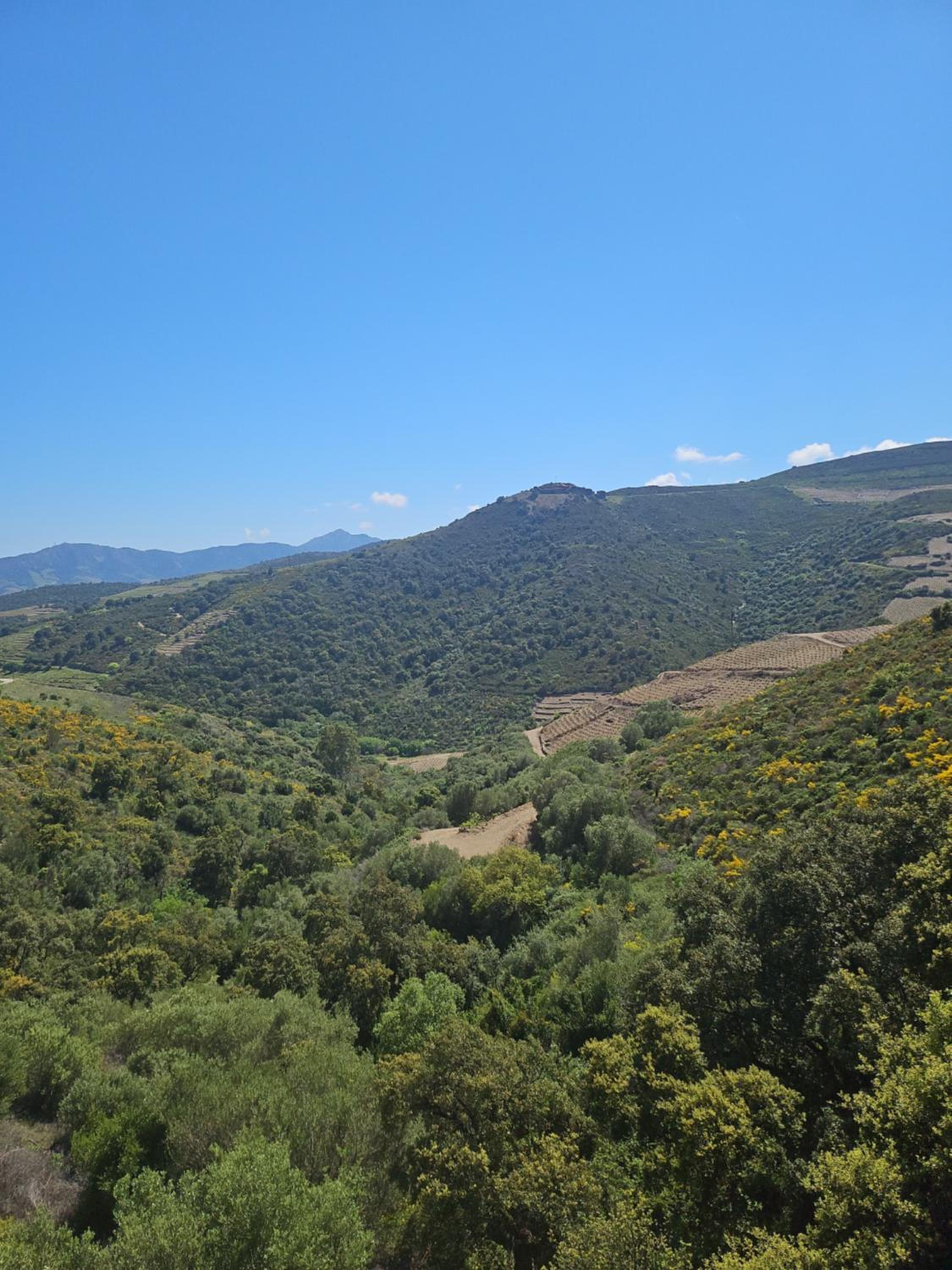 Mas del Roumany, photo 15