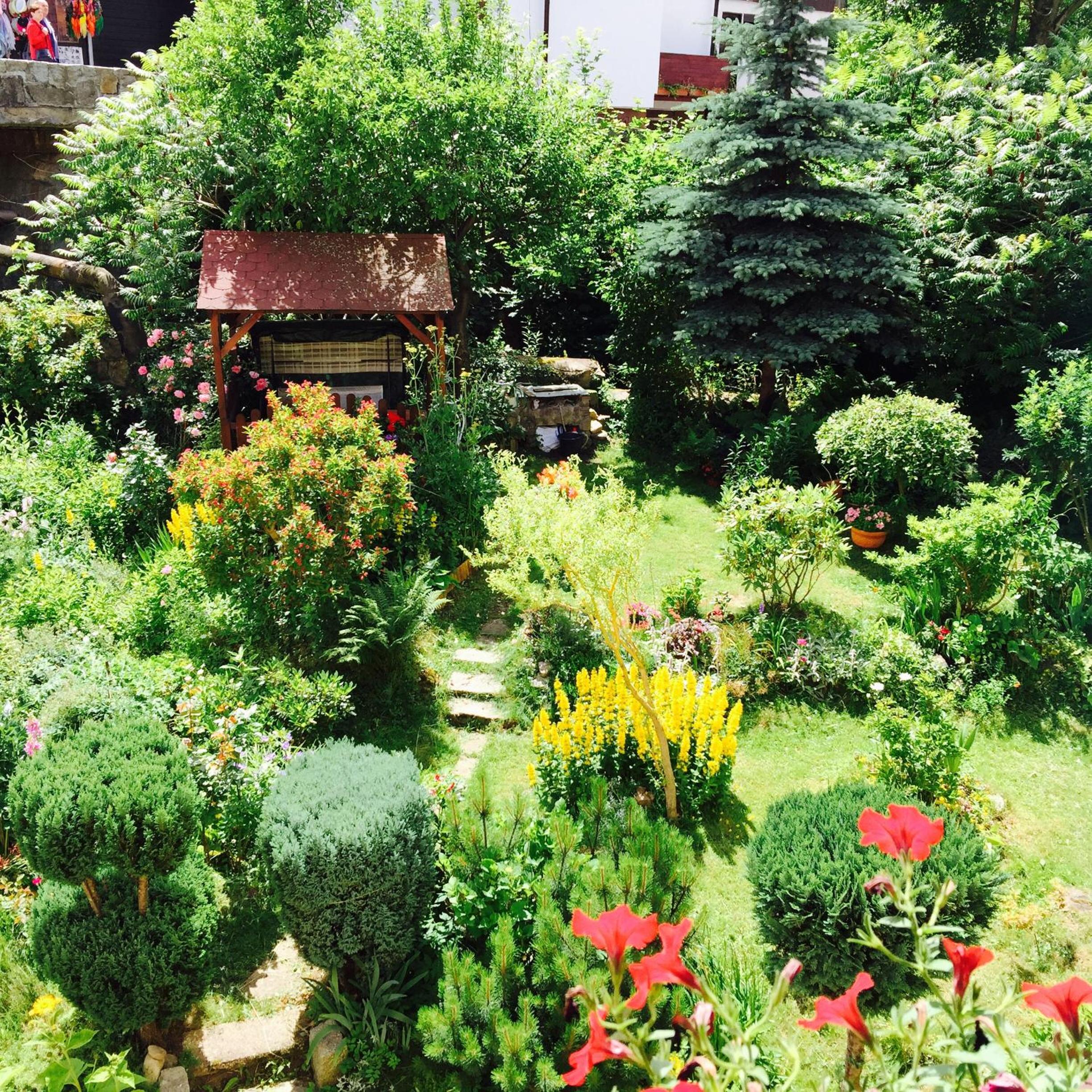 Apartamenty SZUMiWODA view 3