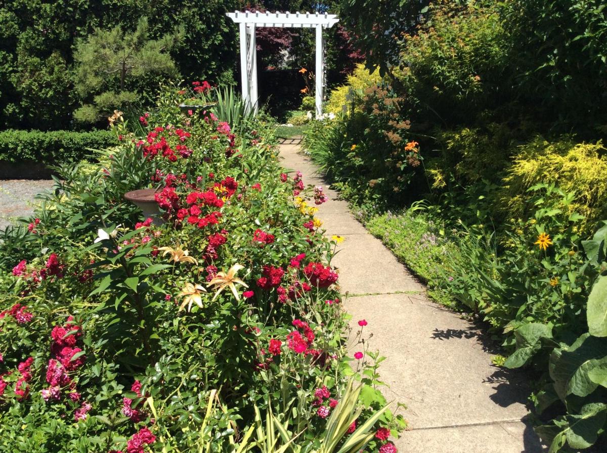 garden