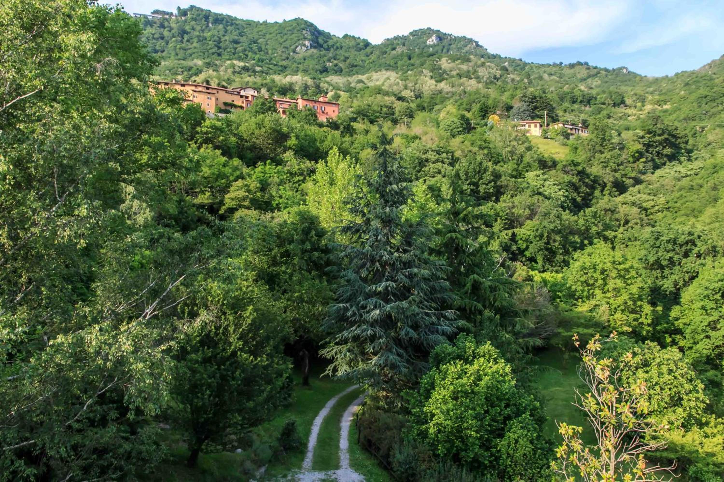 Photo 27