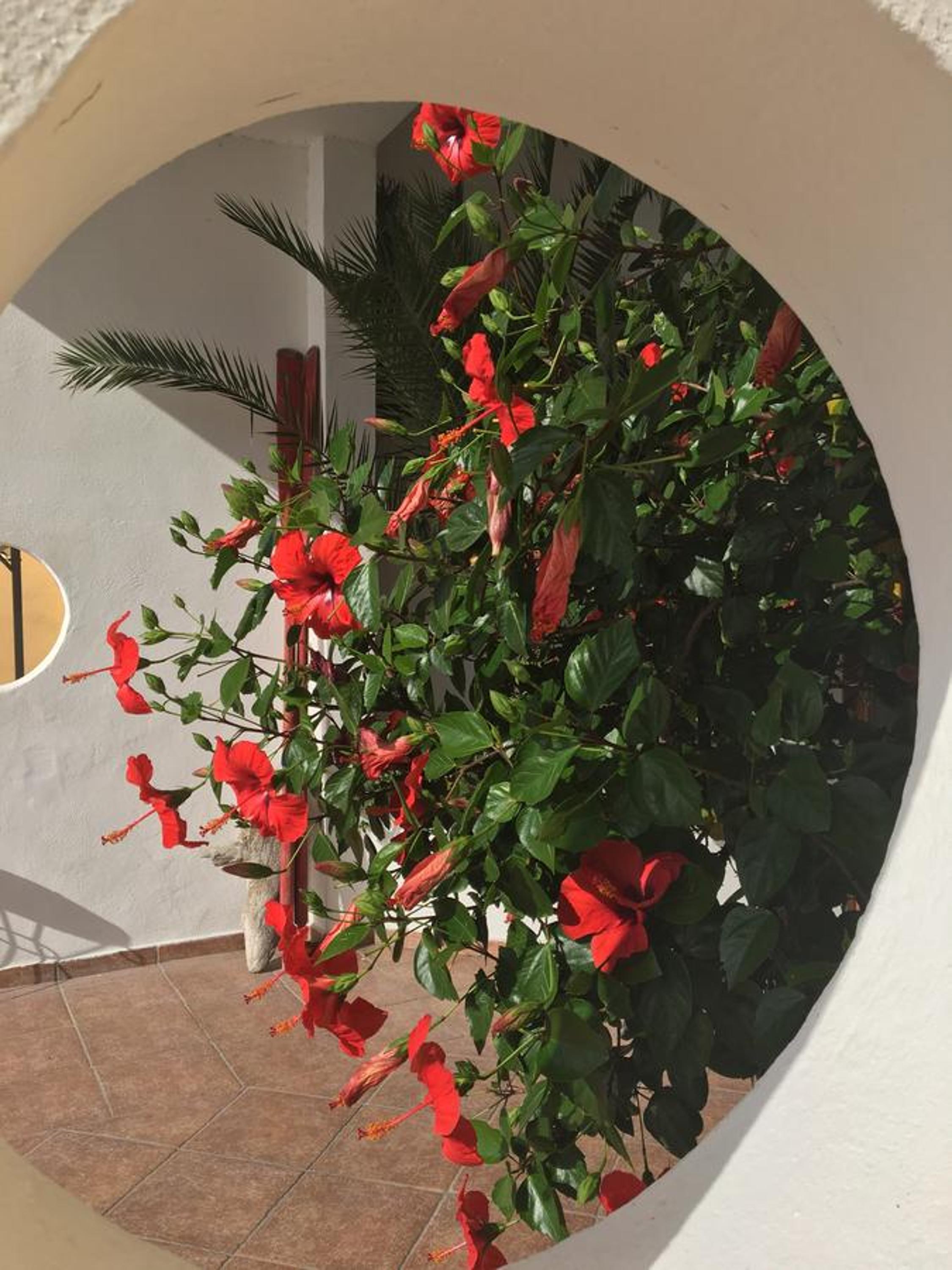Casa Smeraldo view 5