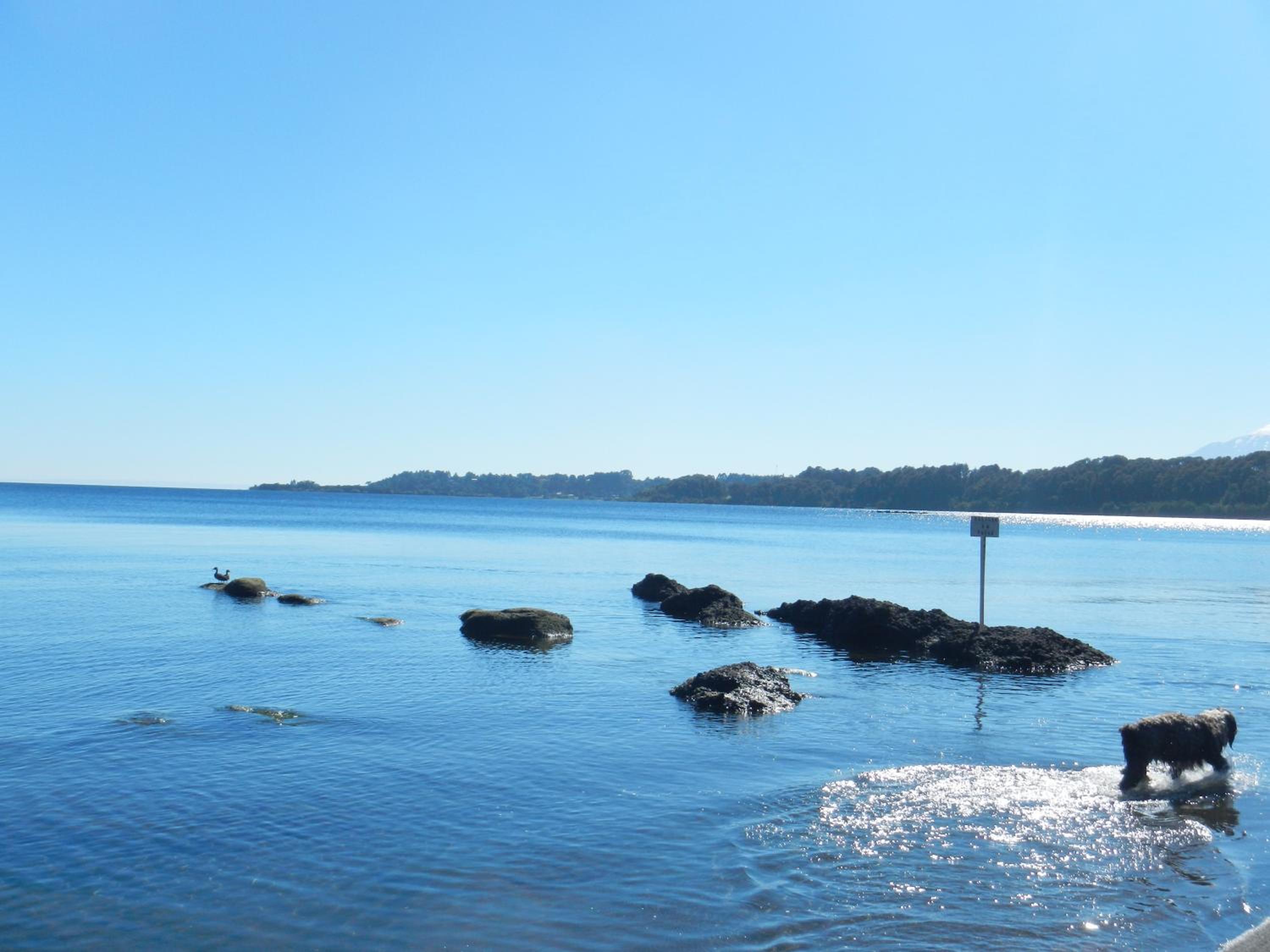 Casa Puerto Varas a pasos de la Playa