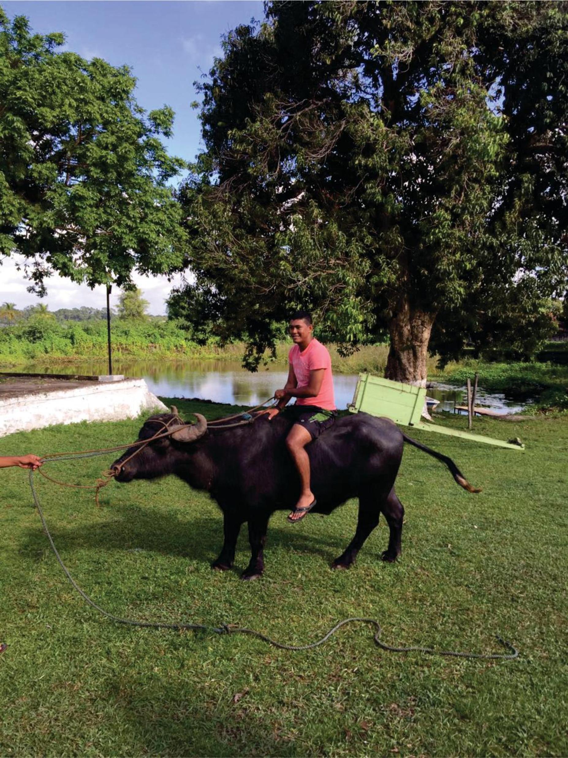 Pousada Marajoara- Hotel Fazenda-Turismo de Aventura