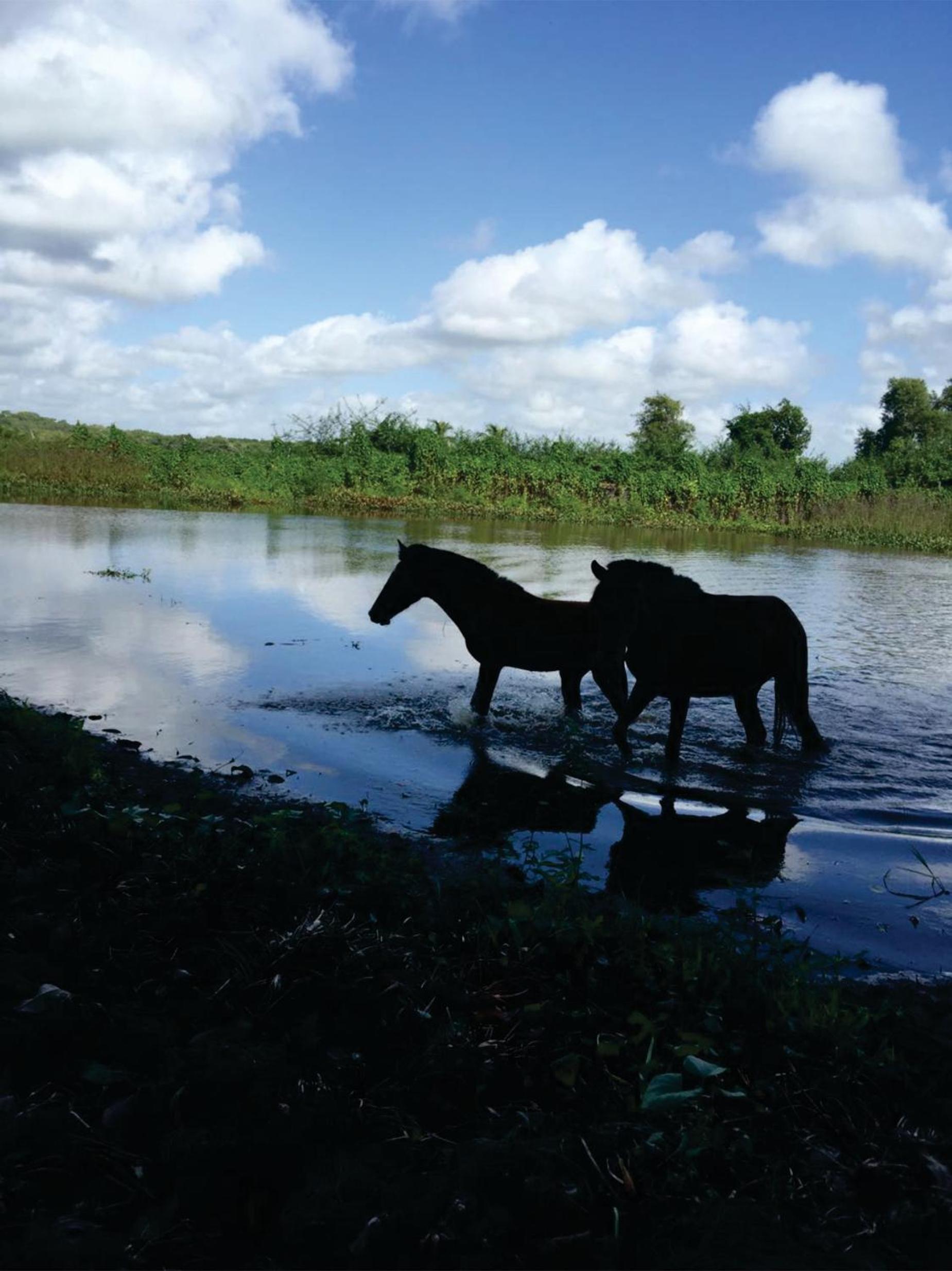 Pousada Marajoara- Hotel Fazenda-Turismo de Aventura