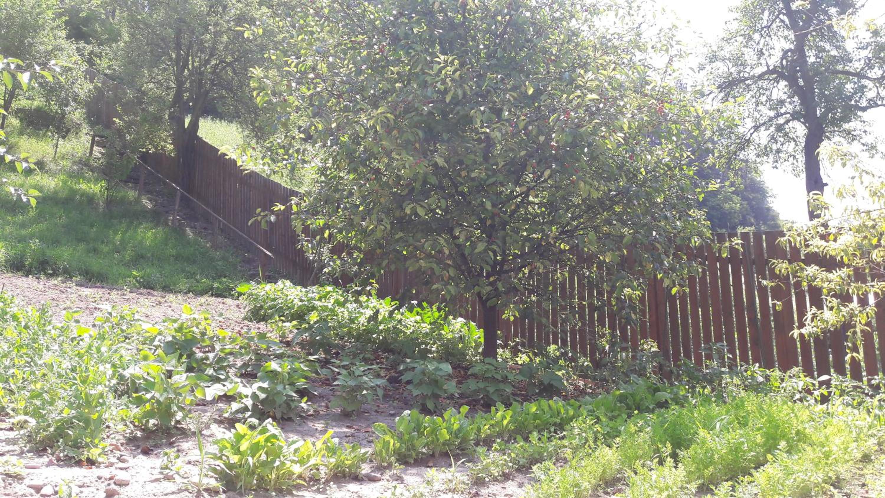 Pension Cartref
