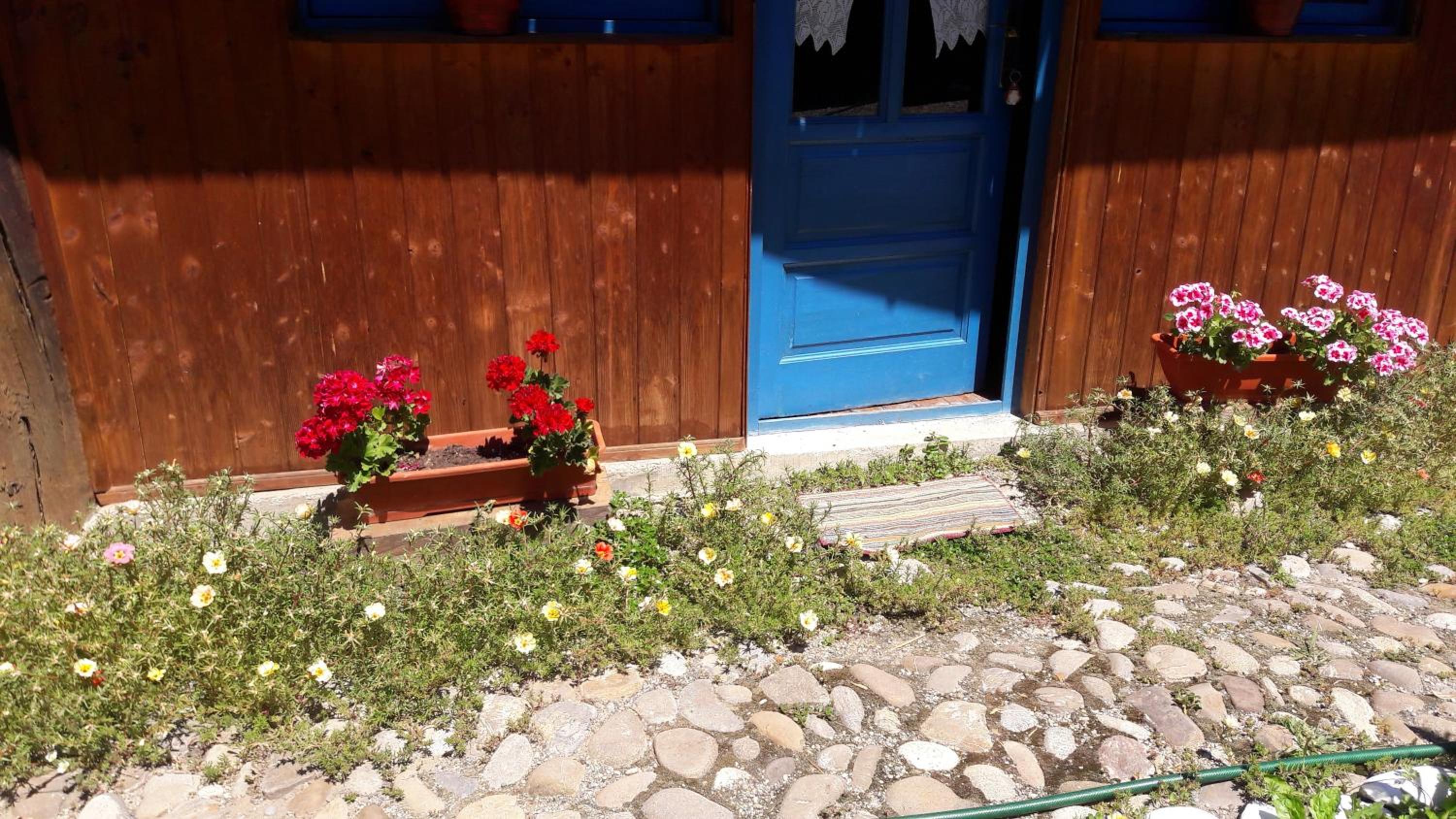 Pension Cartref