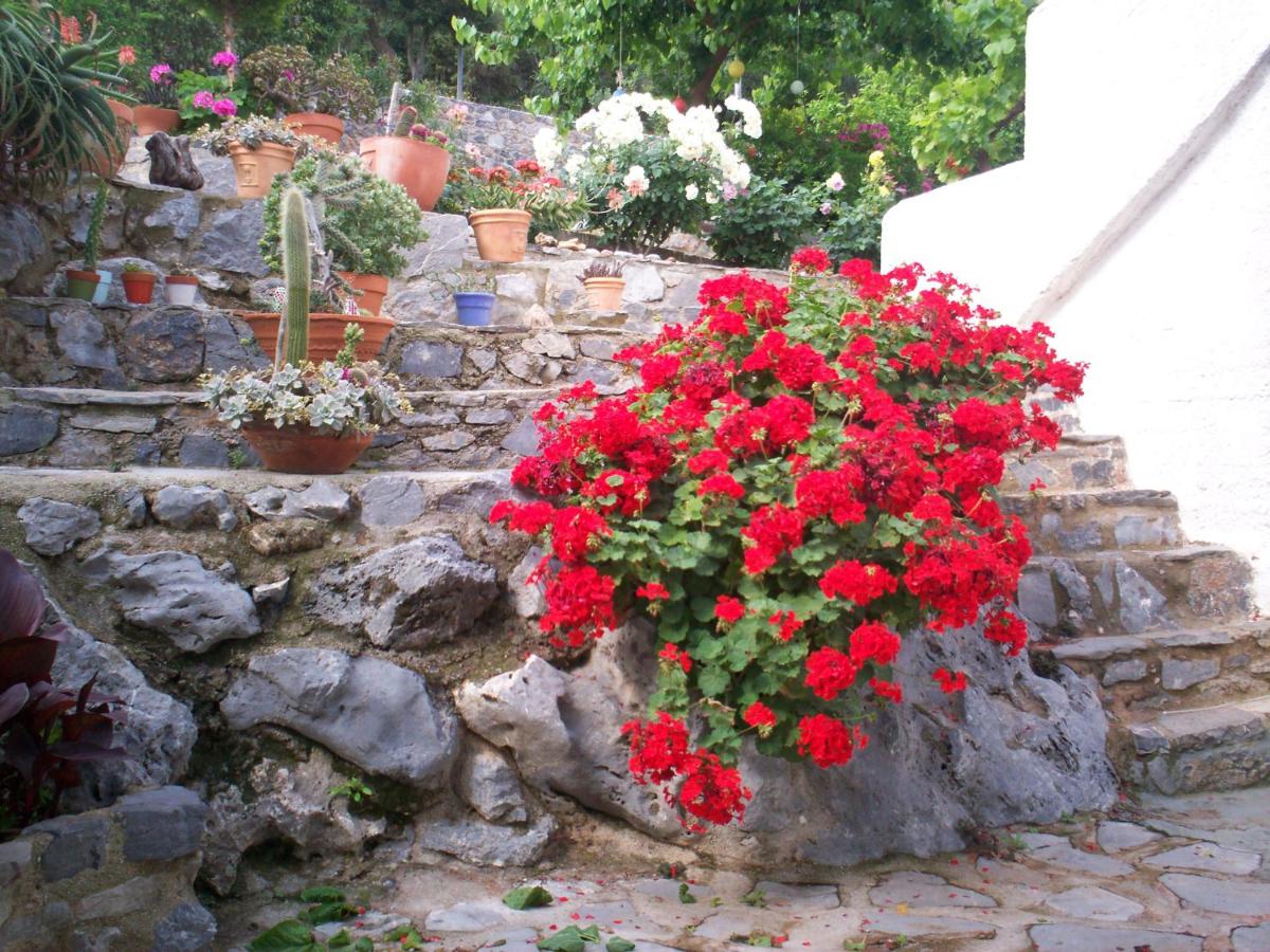 Photo 28
