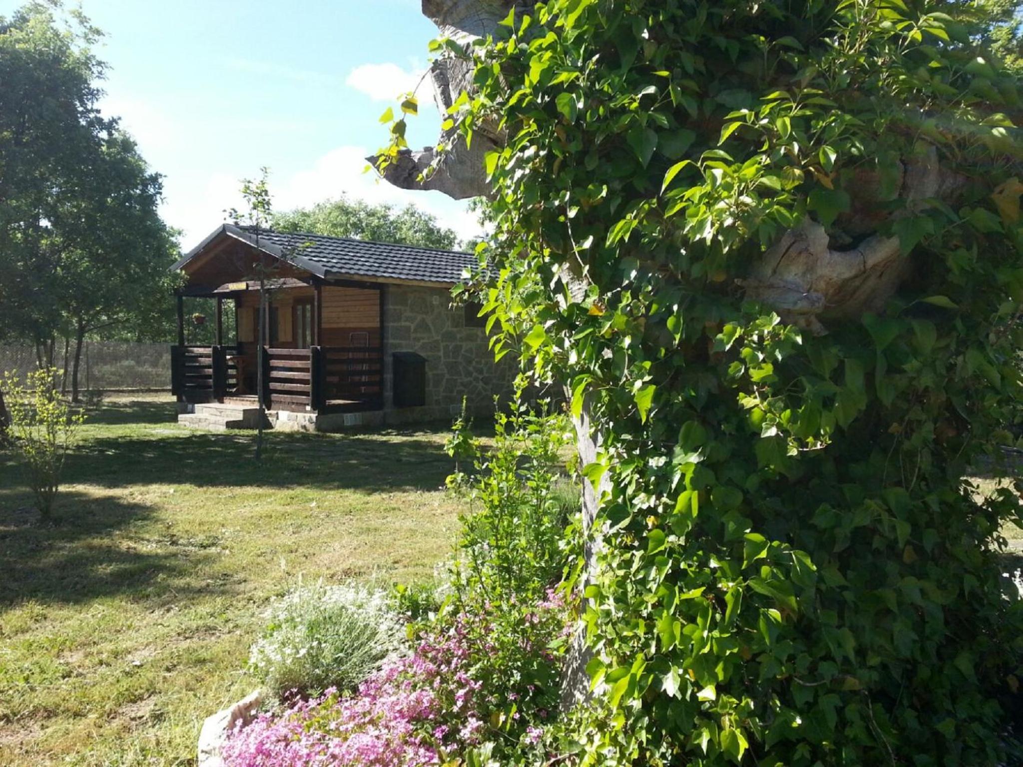 Cabañas Vallecino