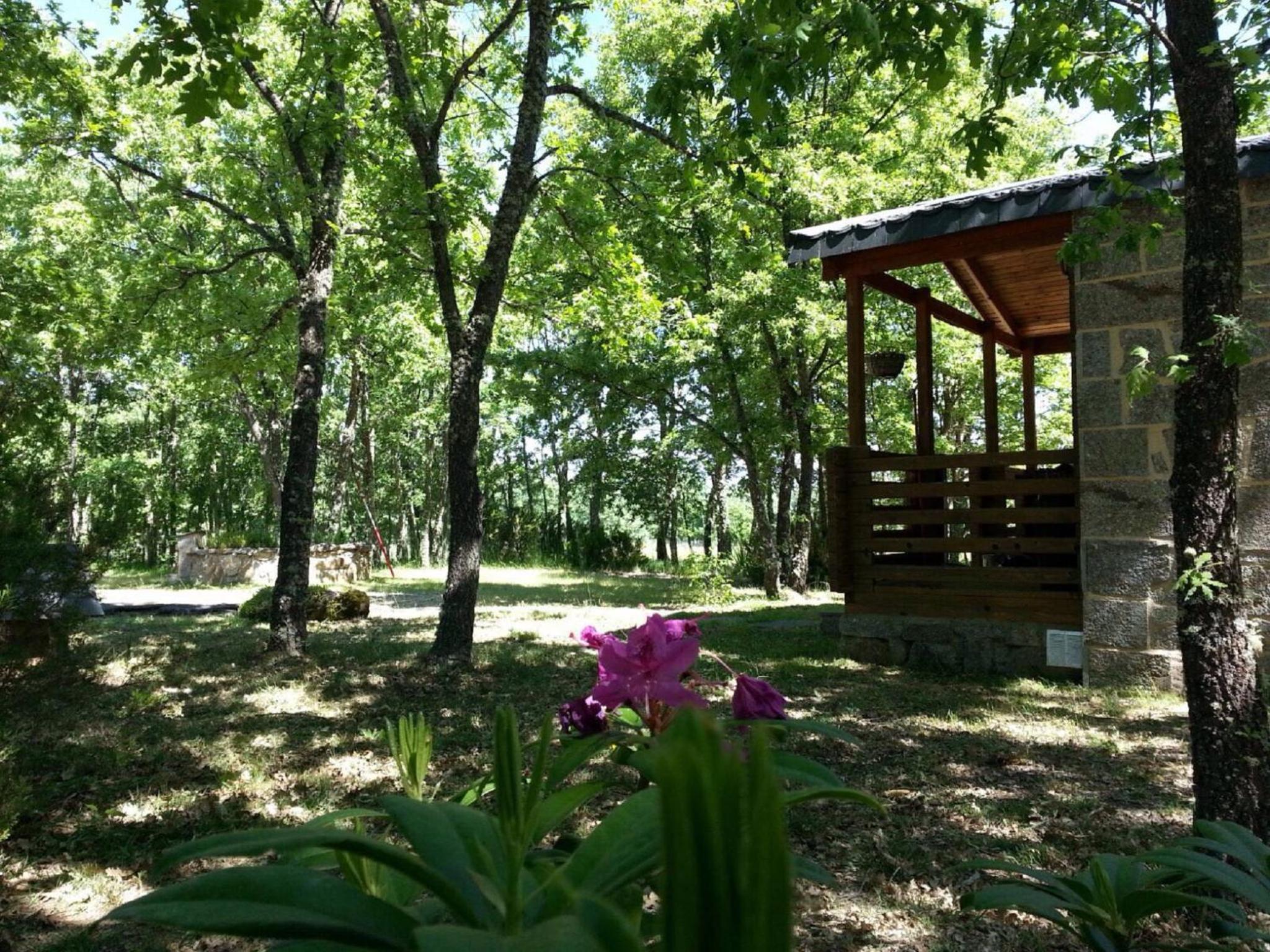 Cabañas Vallecino