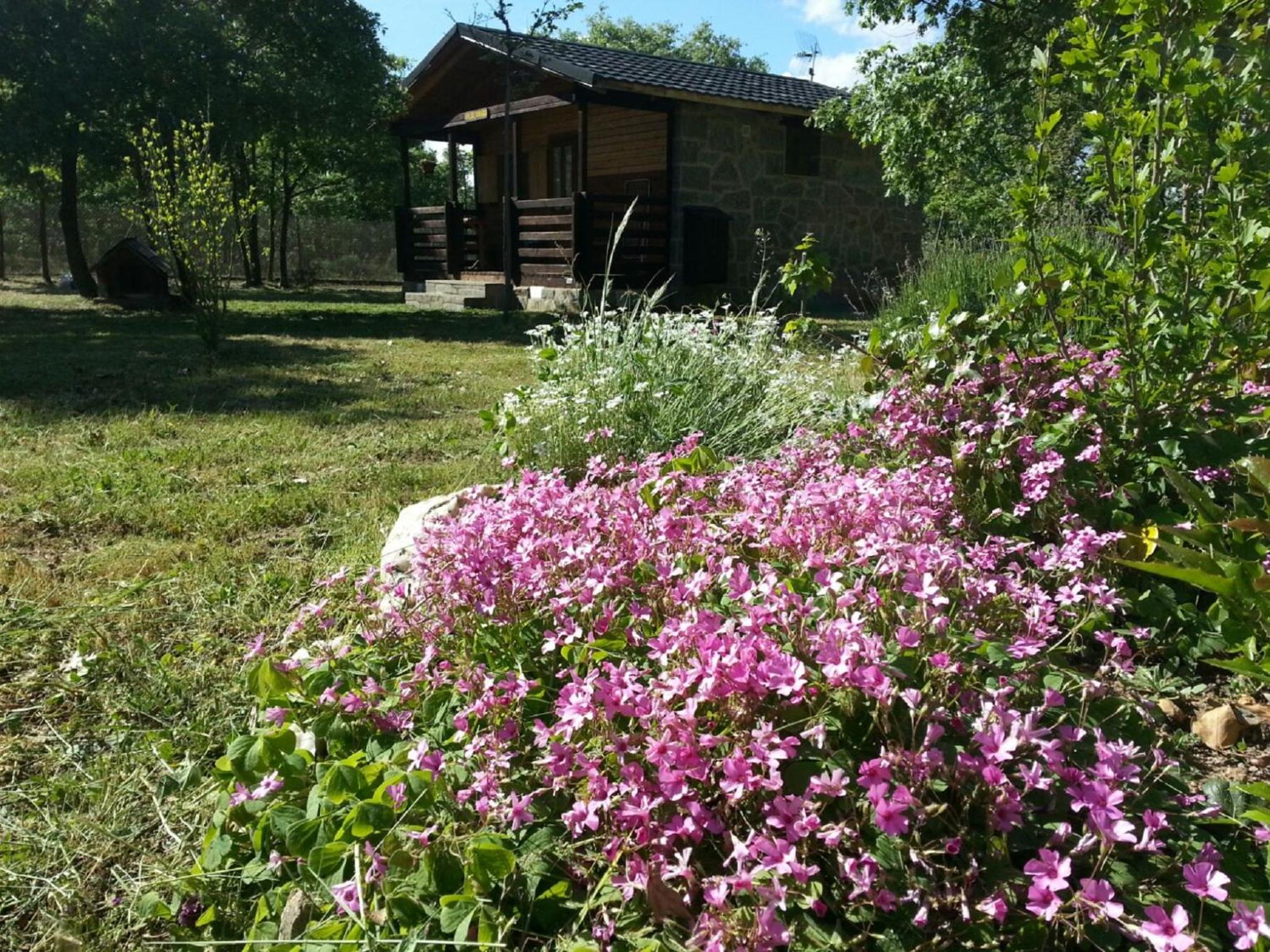 Cabañas Vallecino