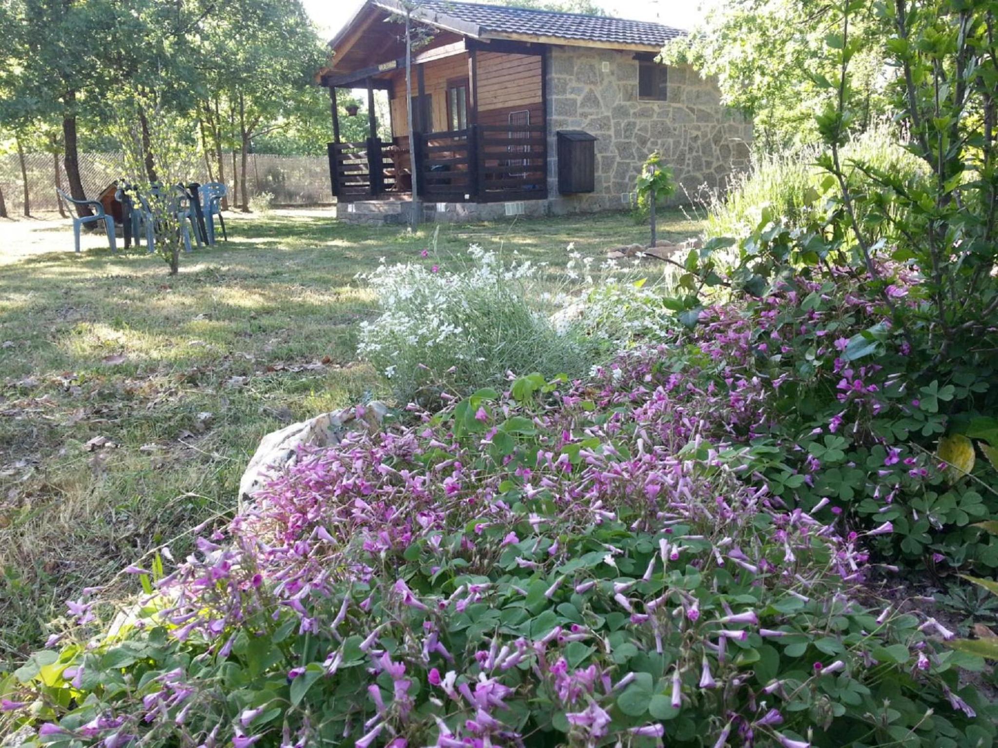 Cabañas Vallecino