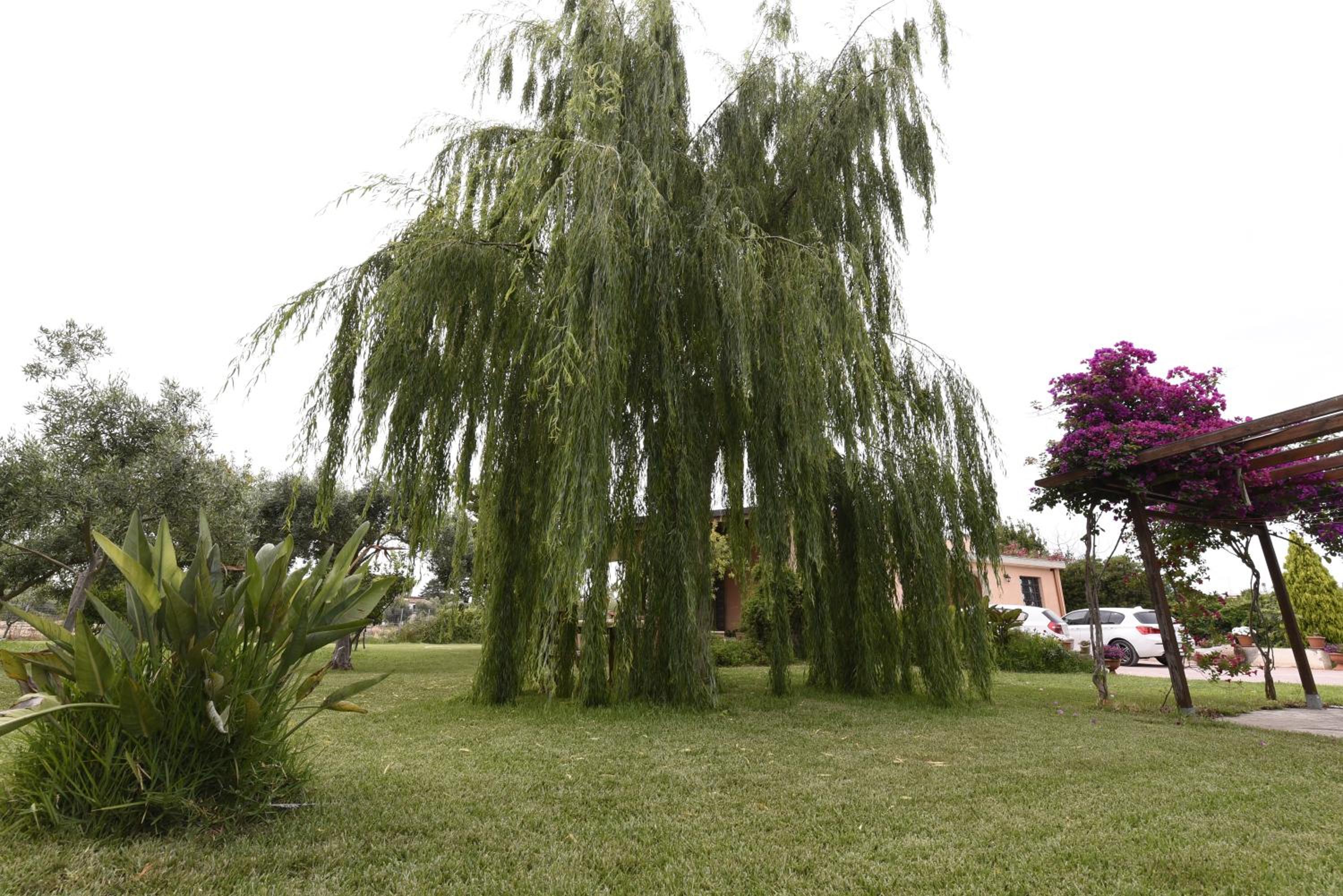 Photo 27