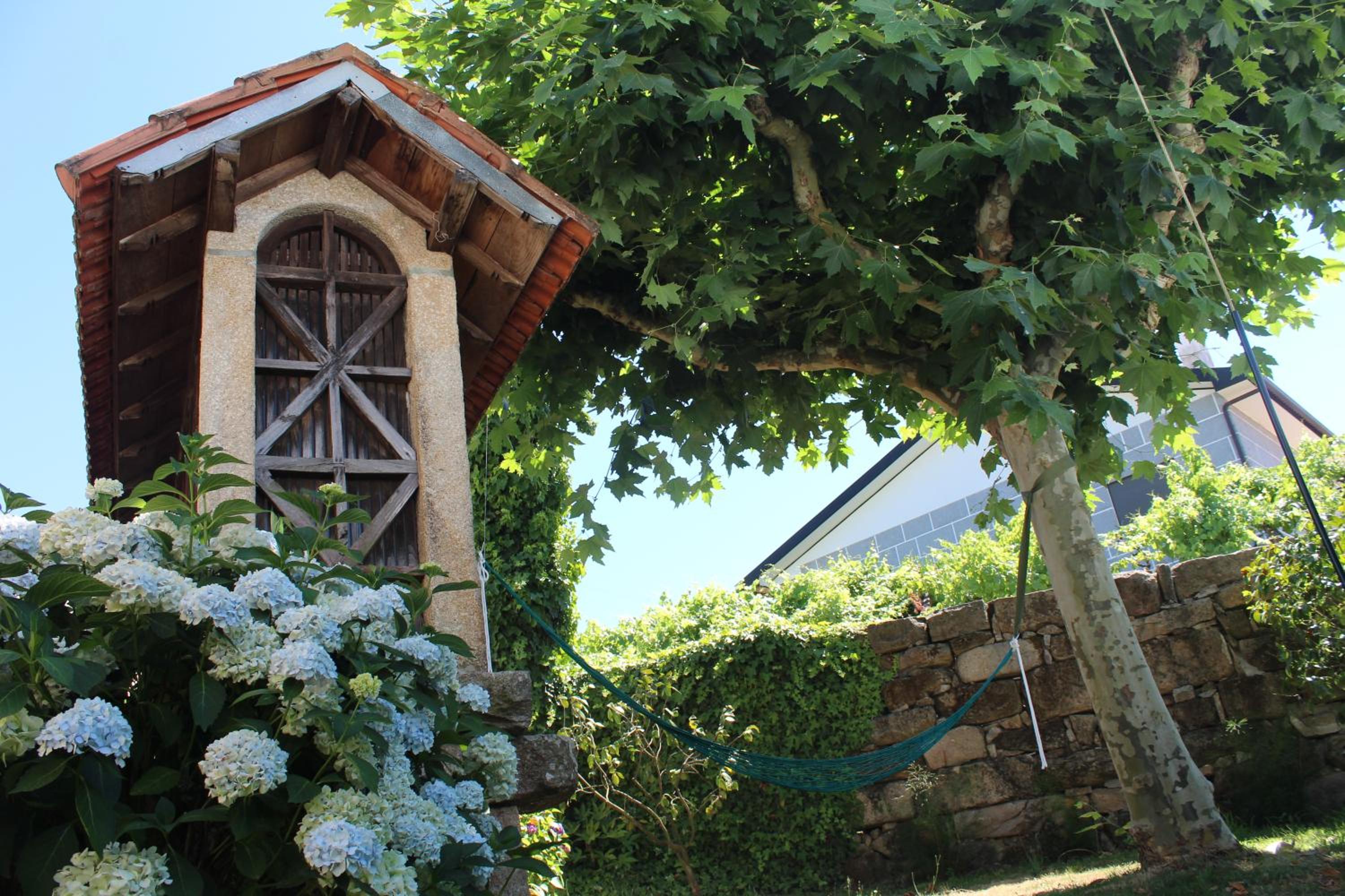 Photo 42