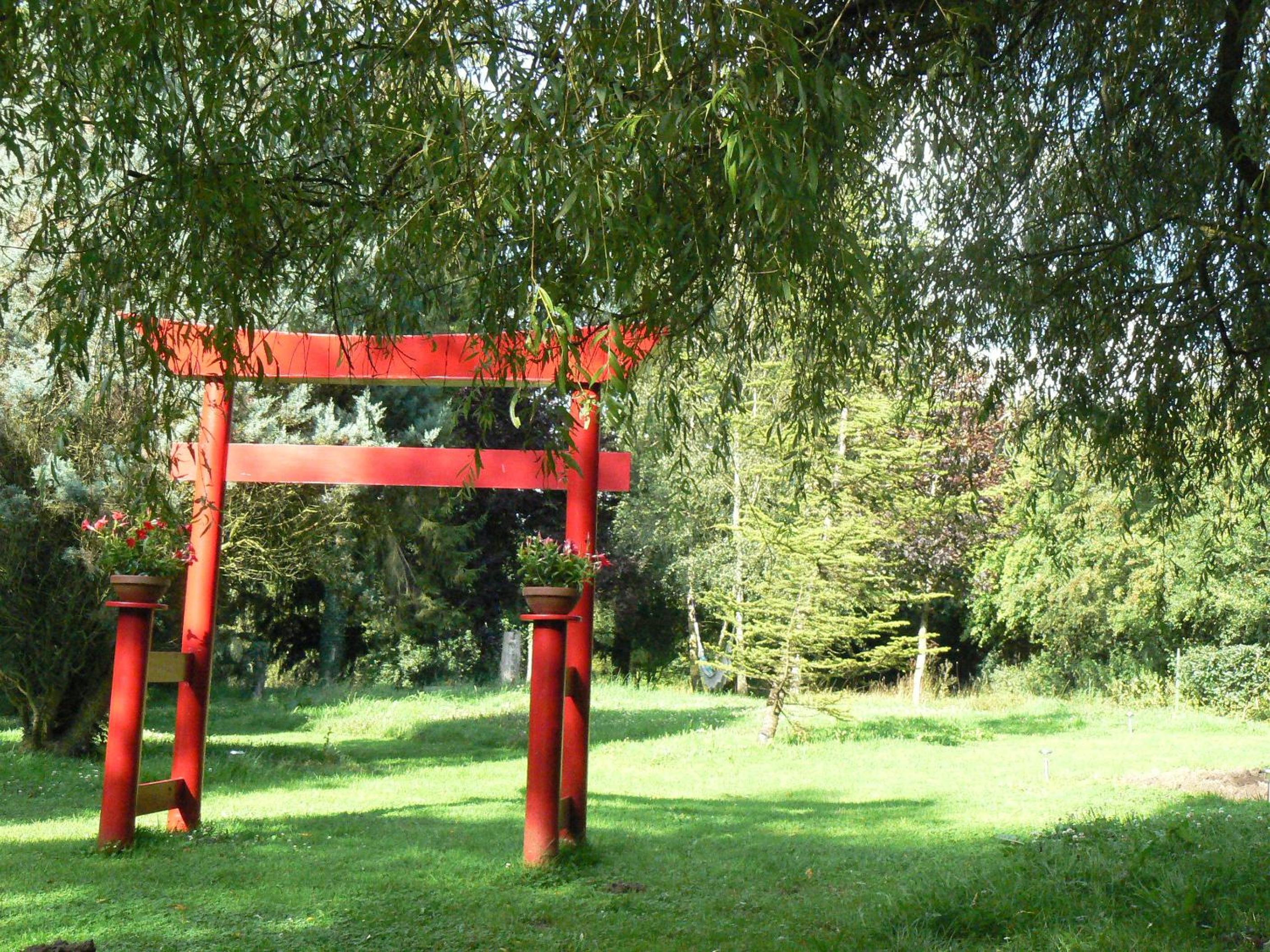 Photo 21